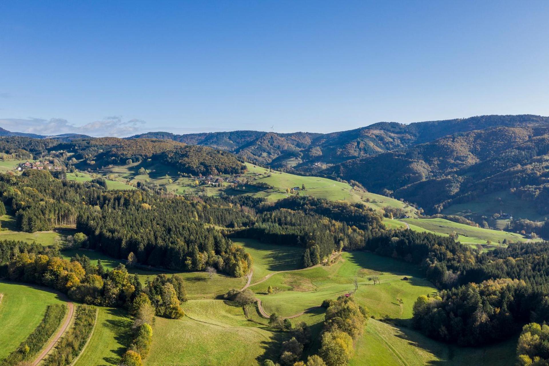 Hotel-Restaurant Sennhütte im Herzen des Südschwarzwalds