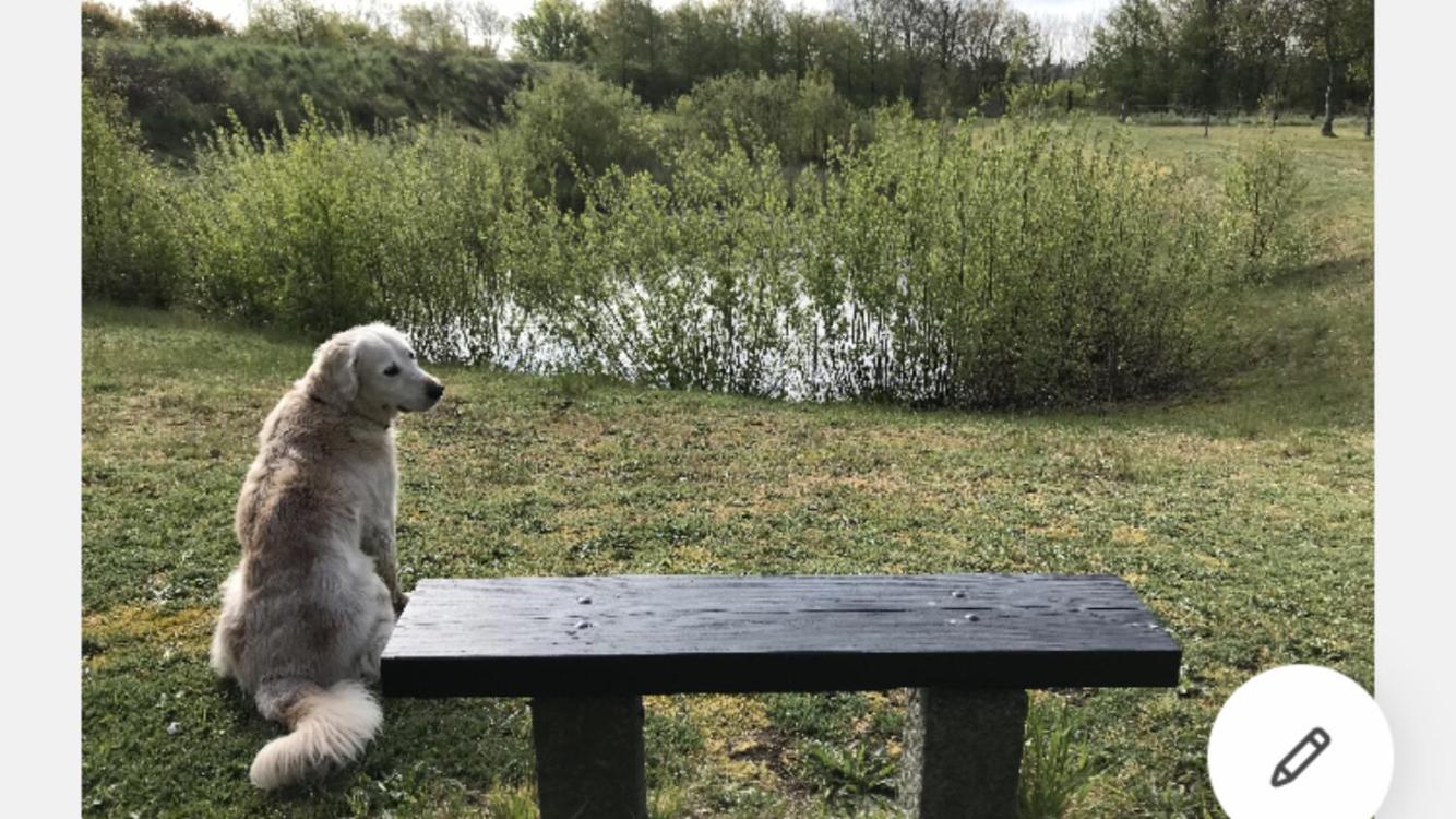 Bed & Bath tæt på Nationalpark Vadehavet