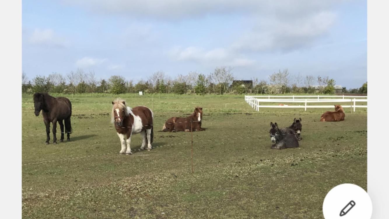 Bed & Bath tæt på Nationalpark Vadehavet