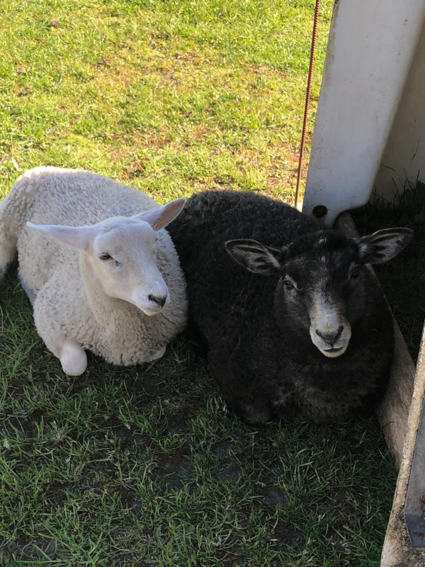 Bed & Bath tæt på Nationalpark Vadehavet
