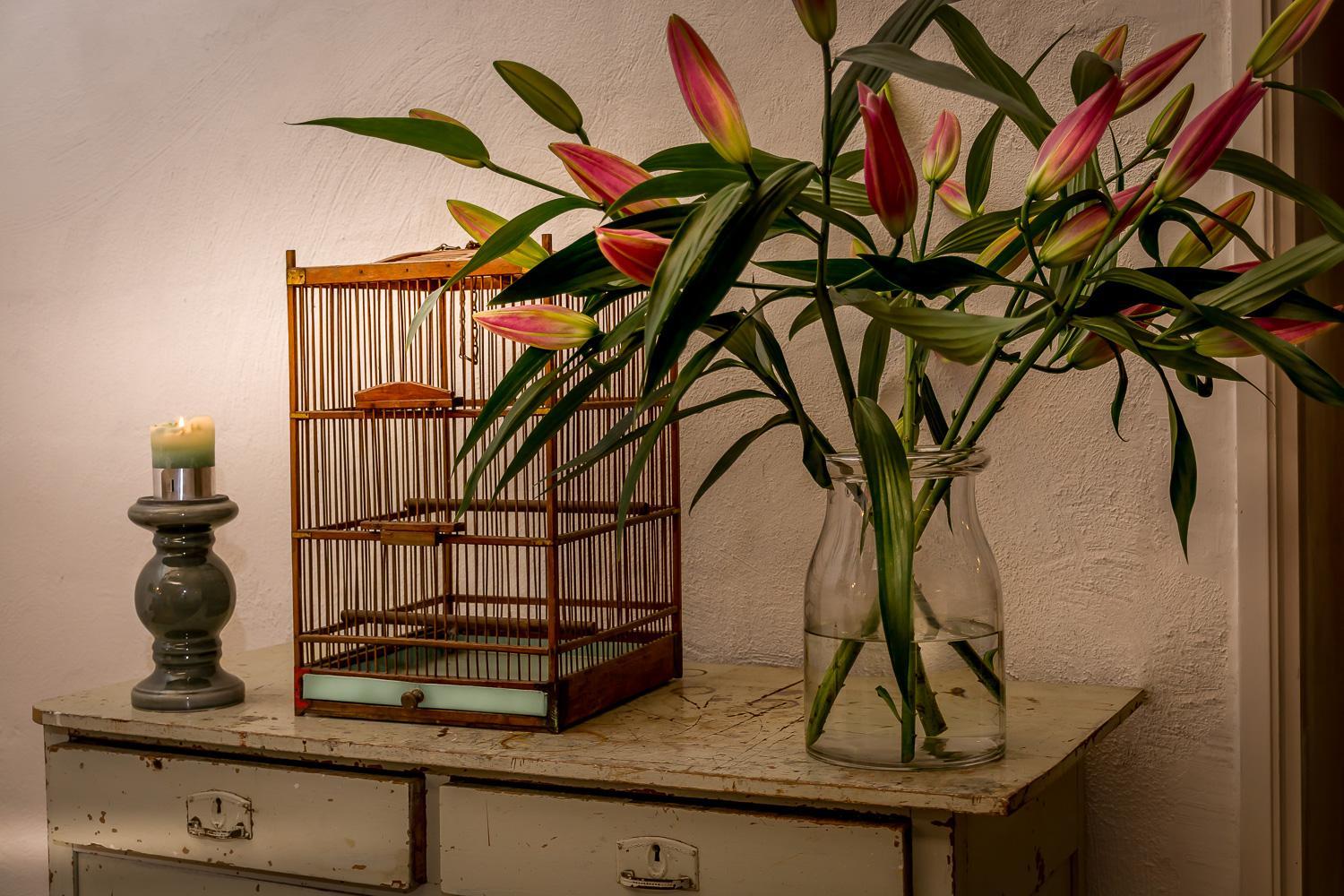 Aan de Holle Weg. Zeer landelijk gelegen verbouwde stal tot woning