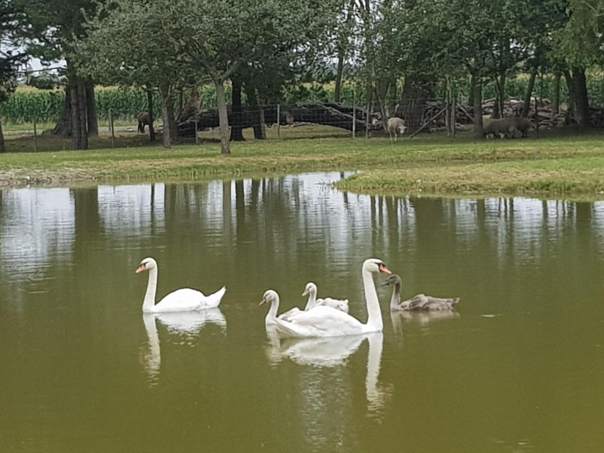 les portes des Froises