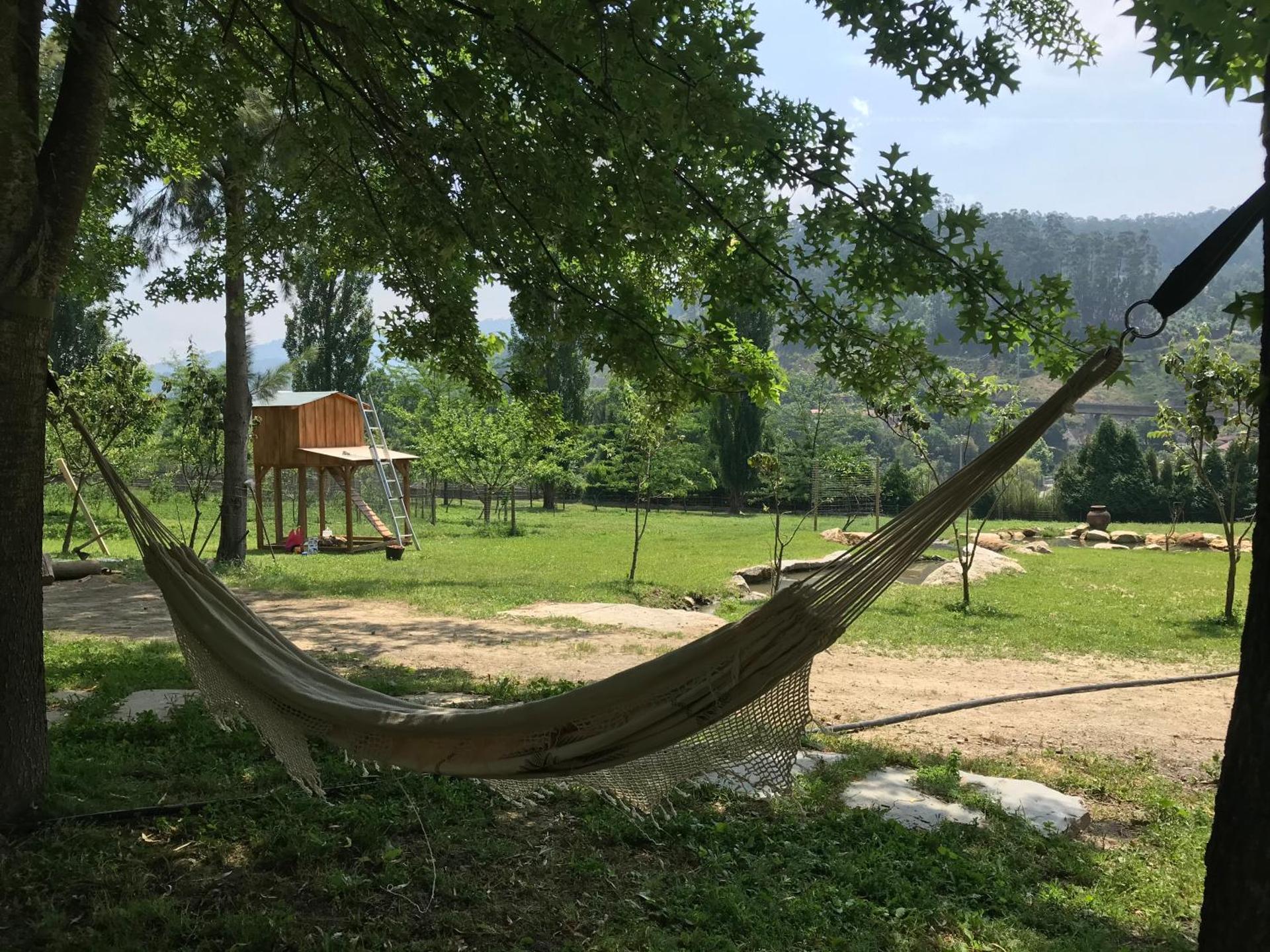 Quinta da Vinha do Souto