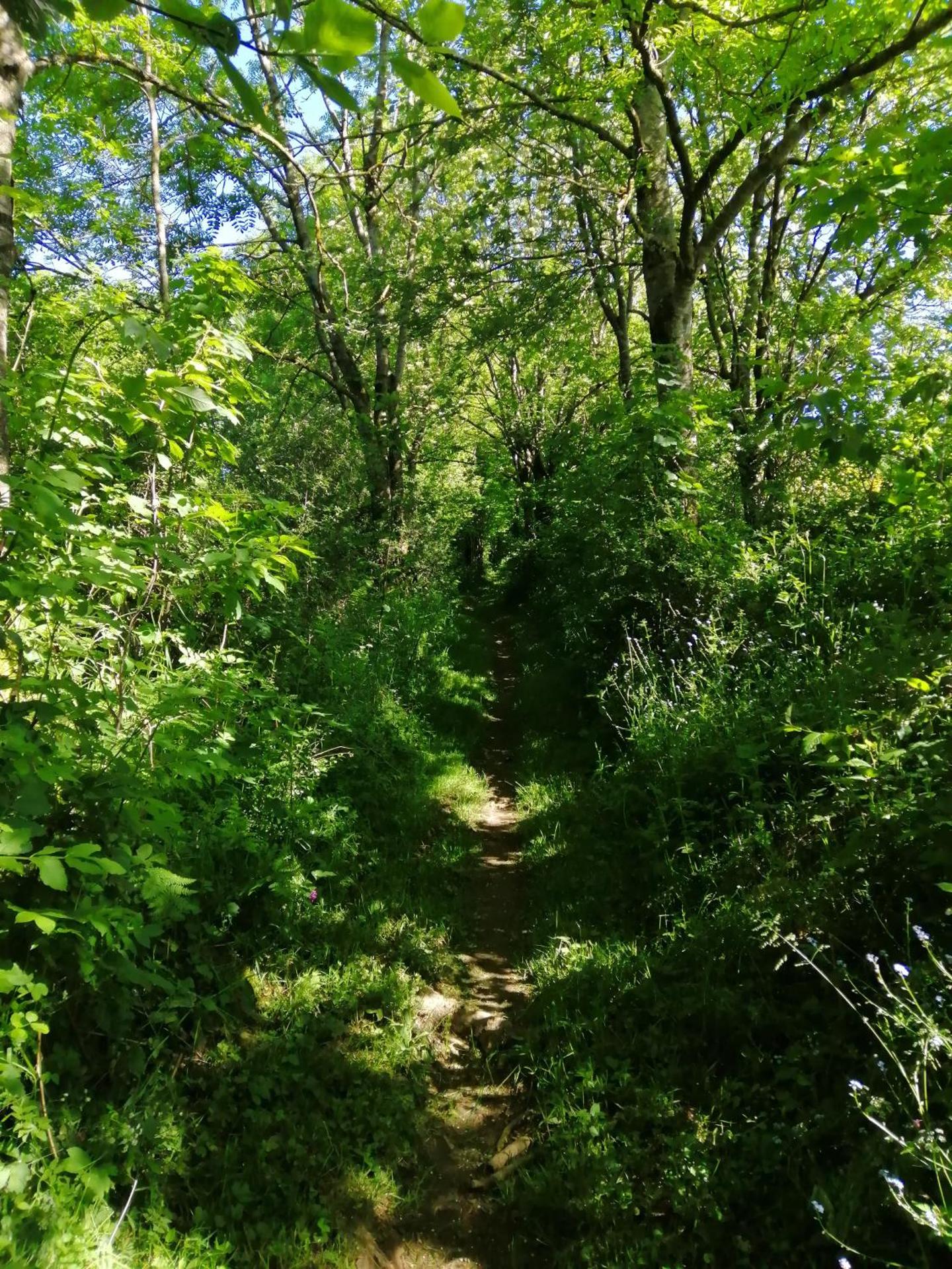 Le Gîte de L'Adrech