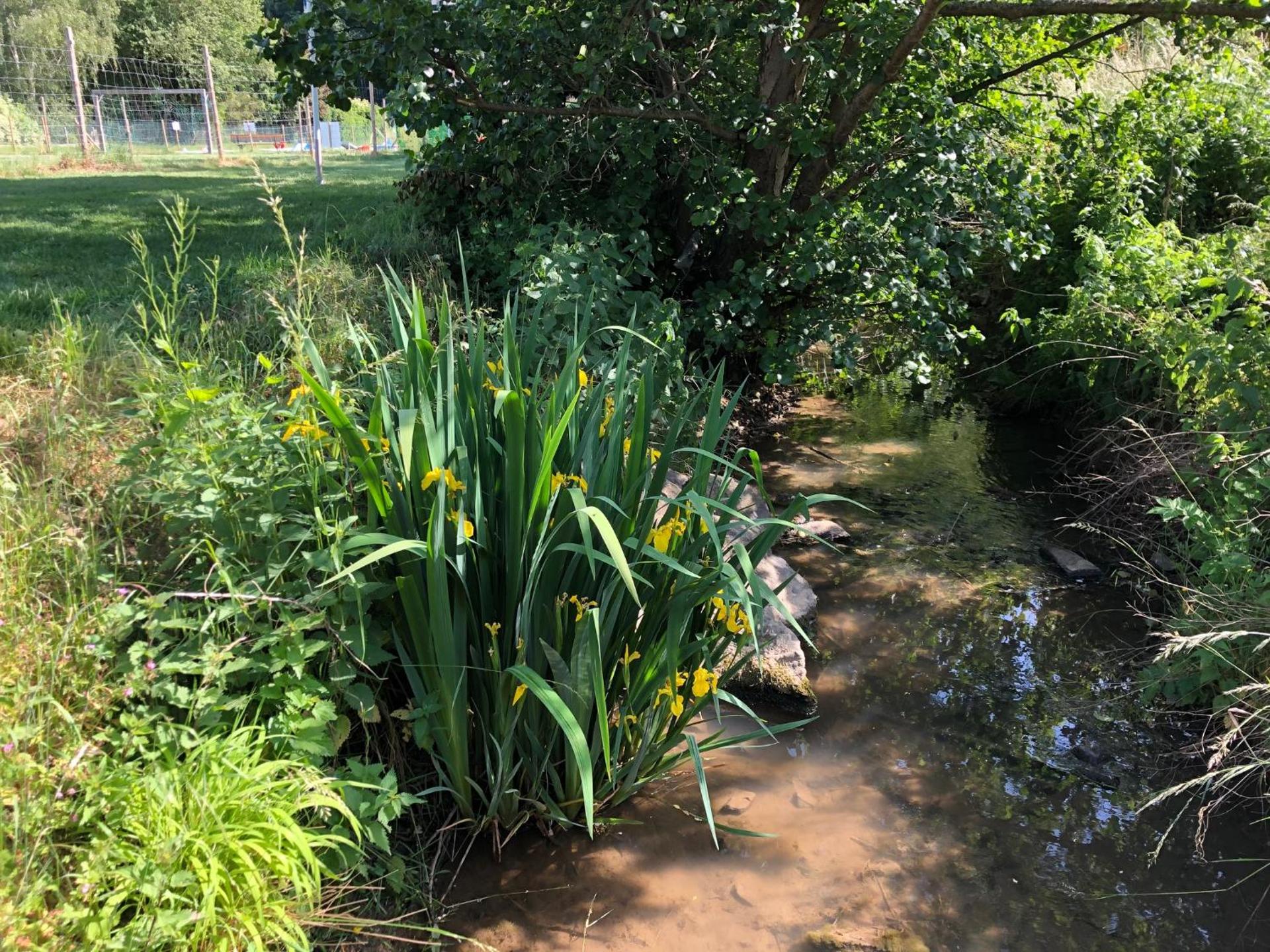 Carolinger Hüttendorf