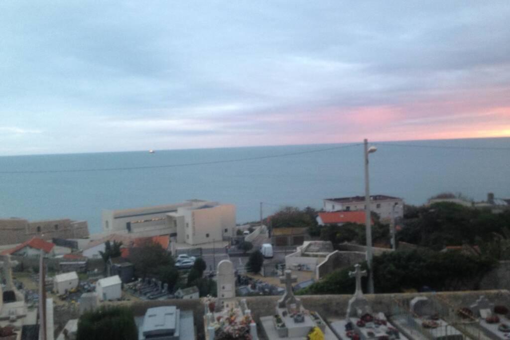 Le Grand Mole - 2 à 8 voyageurs