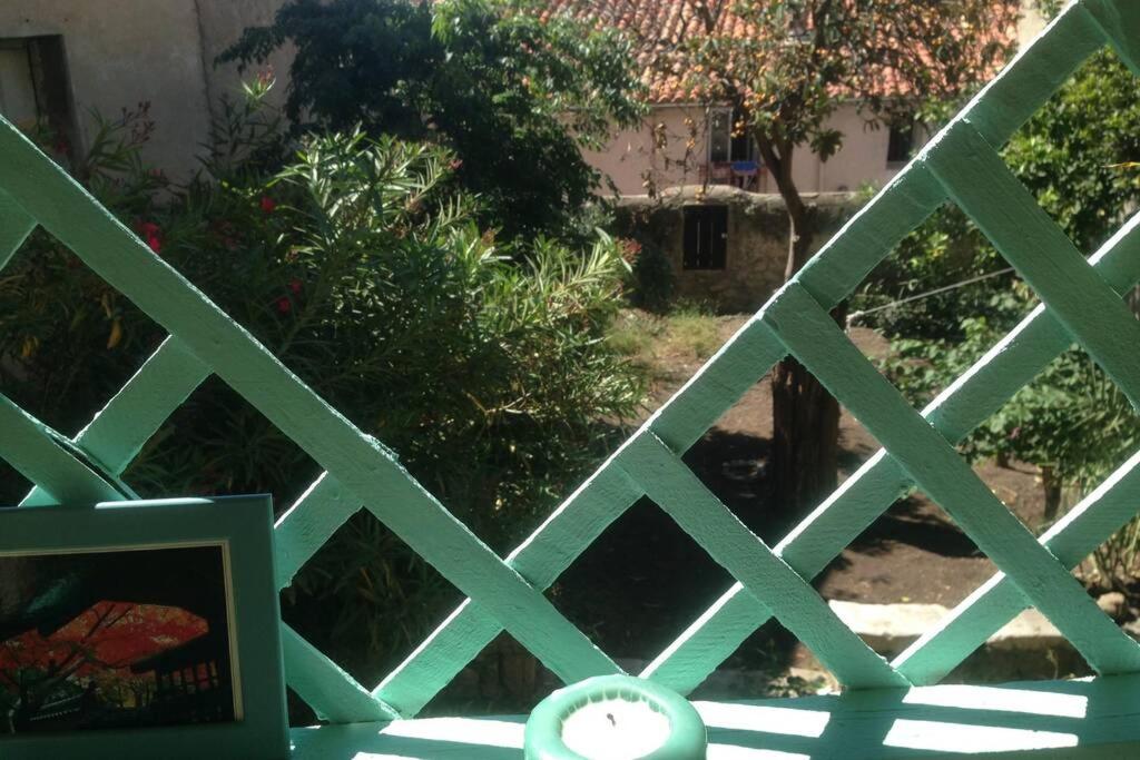 Le Grand Mole - 2 à 8 voyageurs