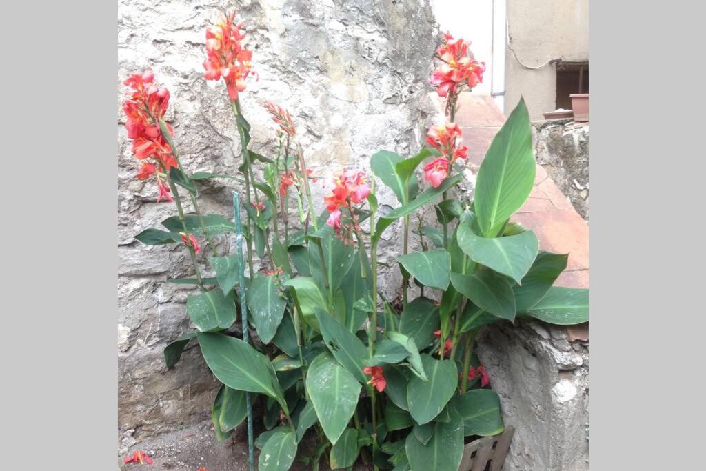 Le Grand Mole - 2 à 8 voyageurs