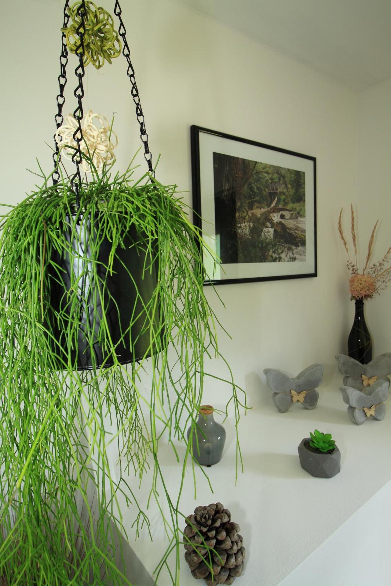 Ferienwohnung Haus Felix