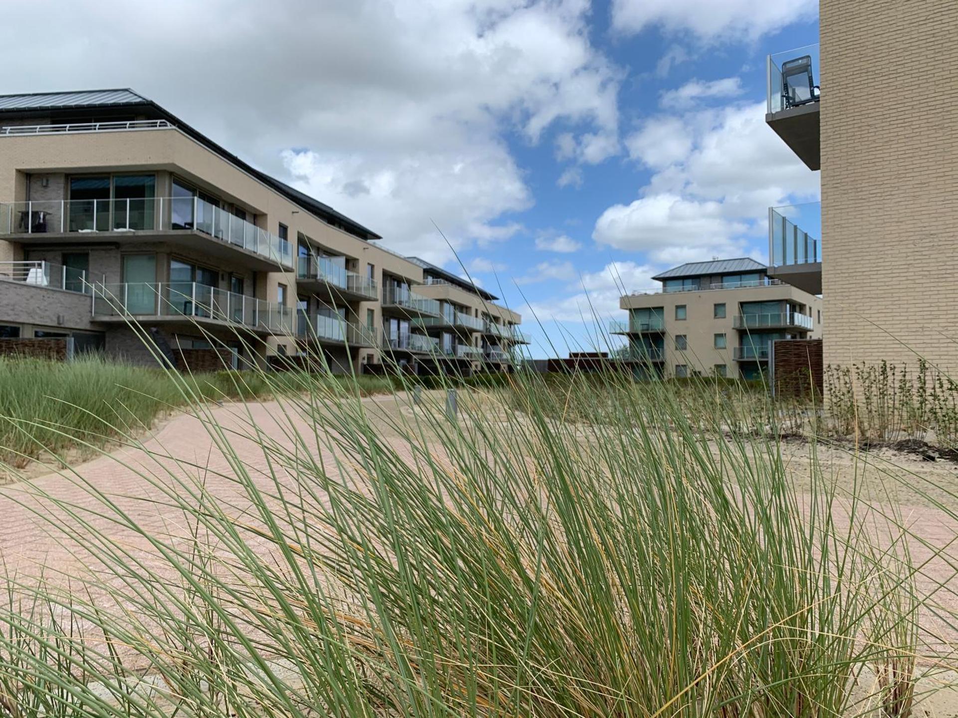 Karthuizer Zeezicht II