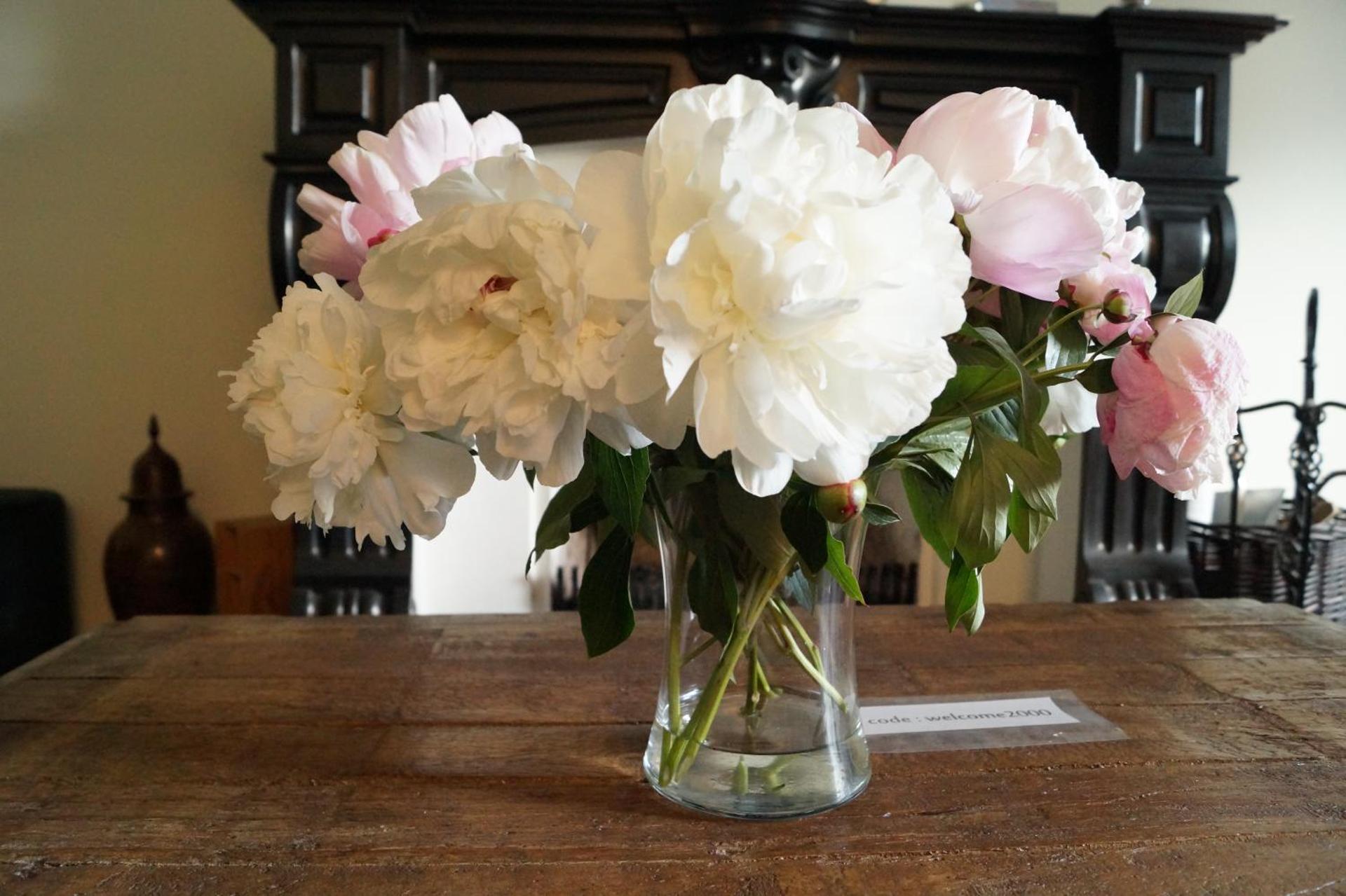 Bed & Breakfast Ohé en Laak