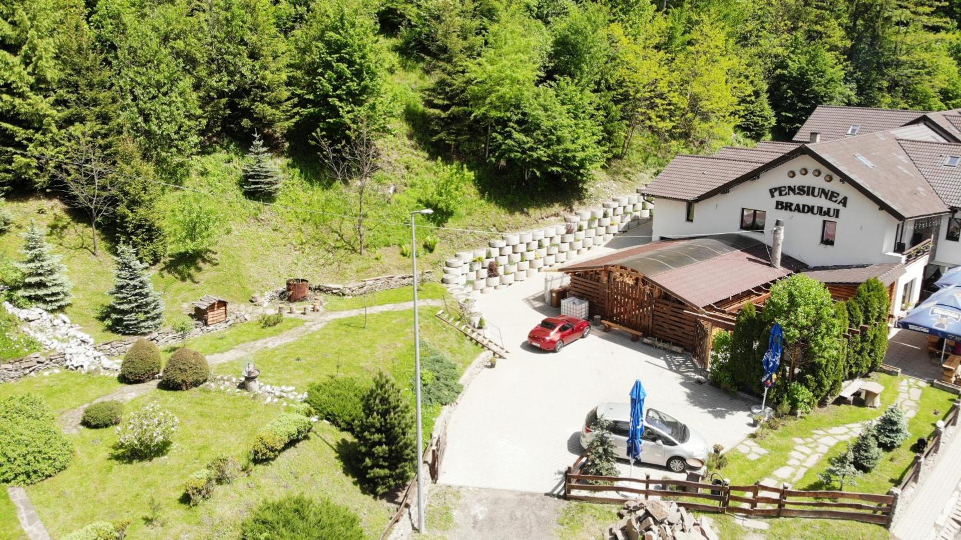 Pensiunea Bradului