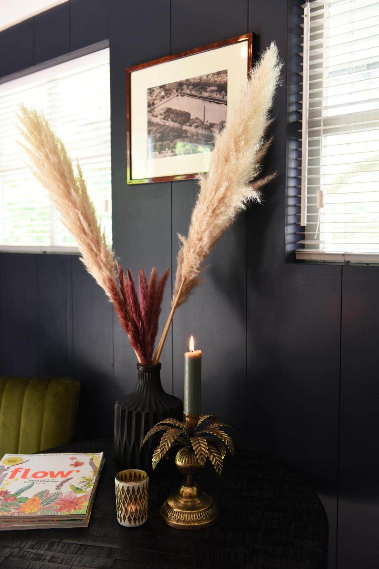 Bed and Breakfast Het Emmapark Medemblik