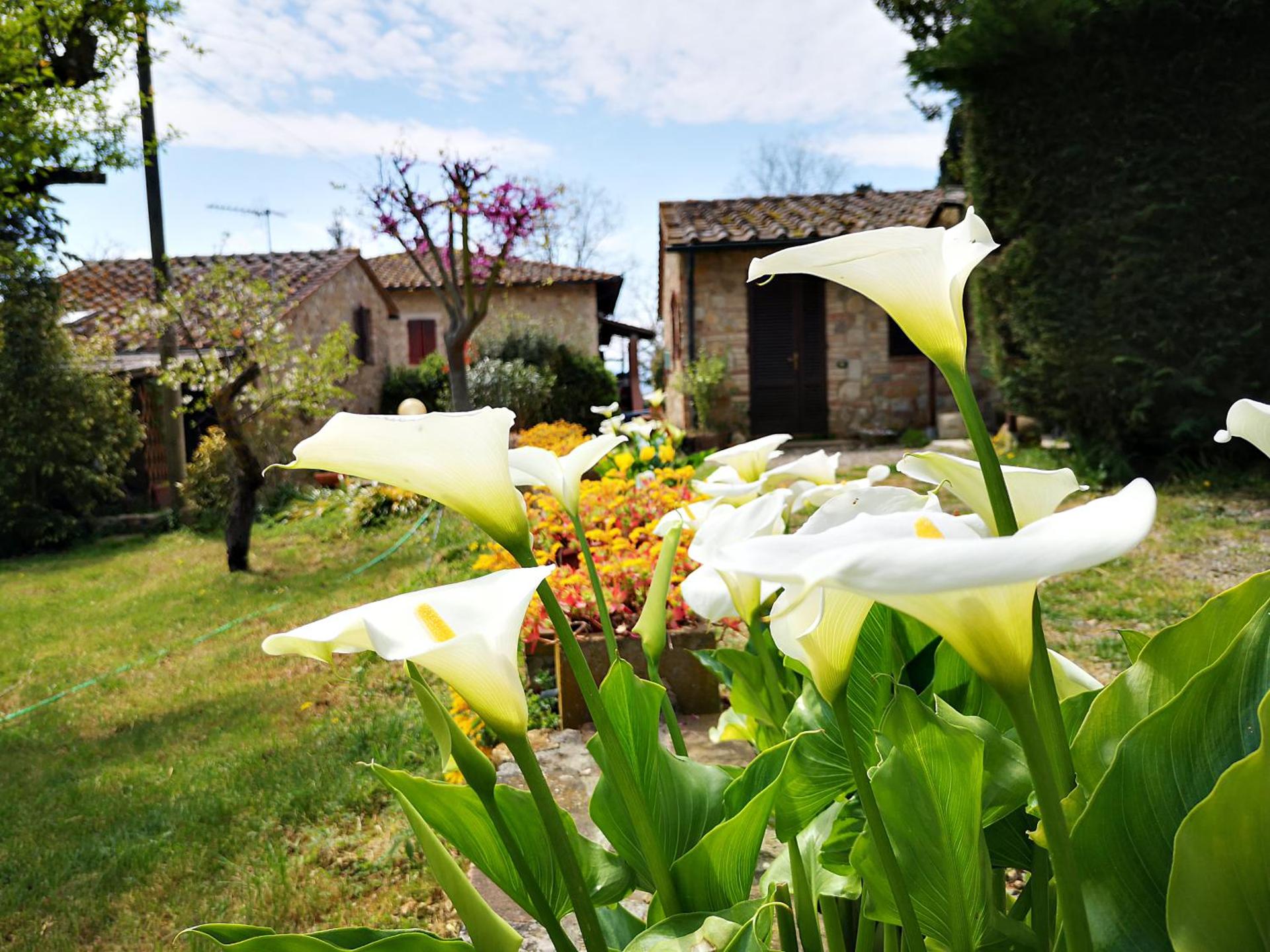 Agriturismo grecinella