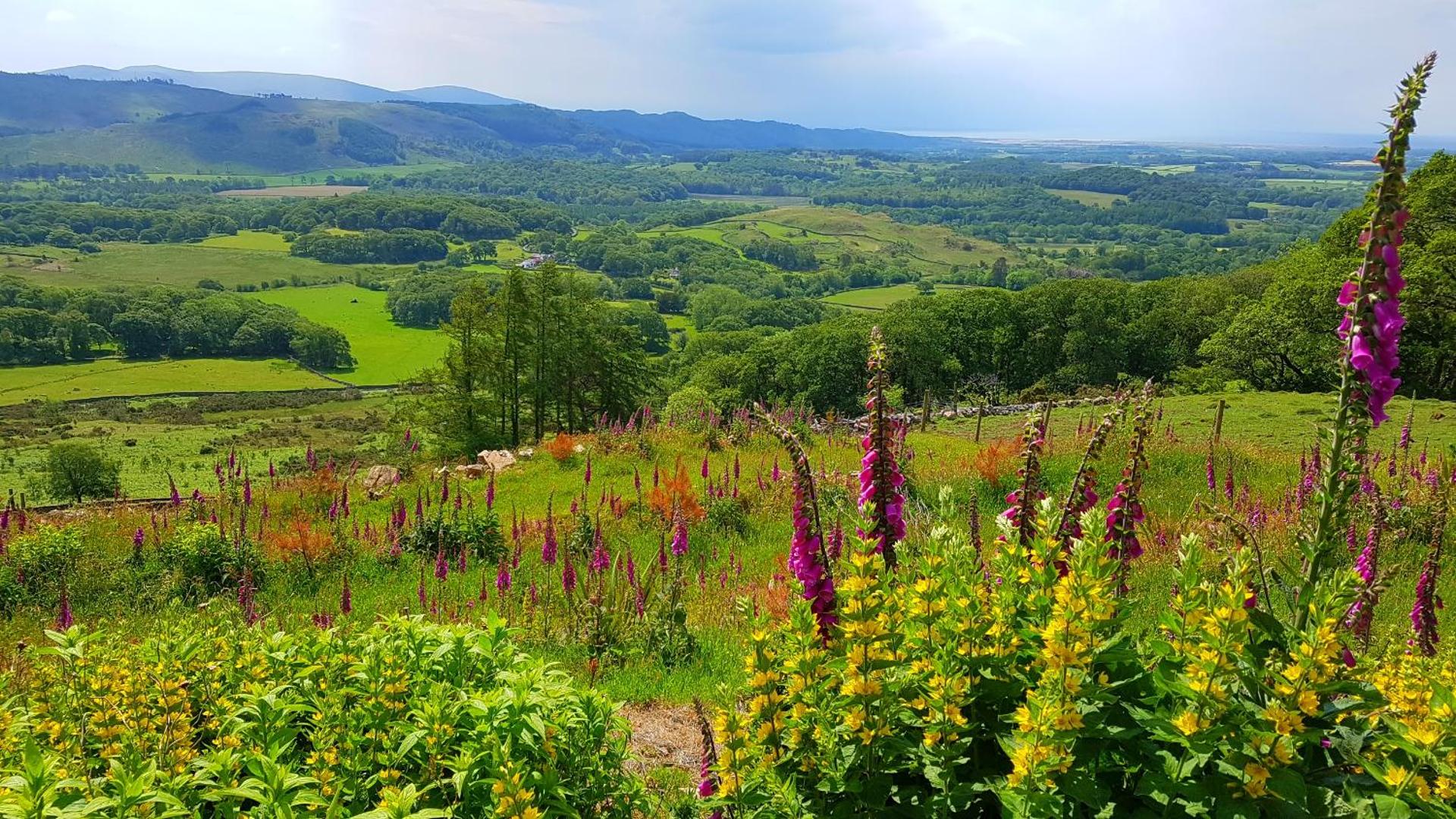 Windsor Cottage on The Big "W" Ranch