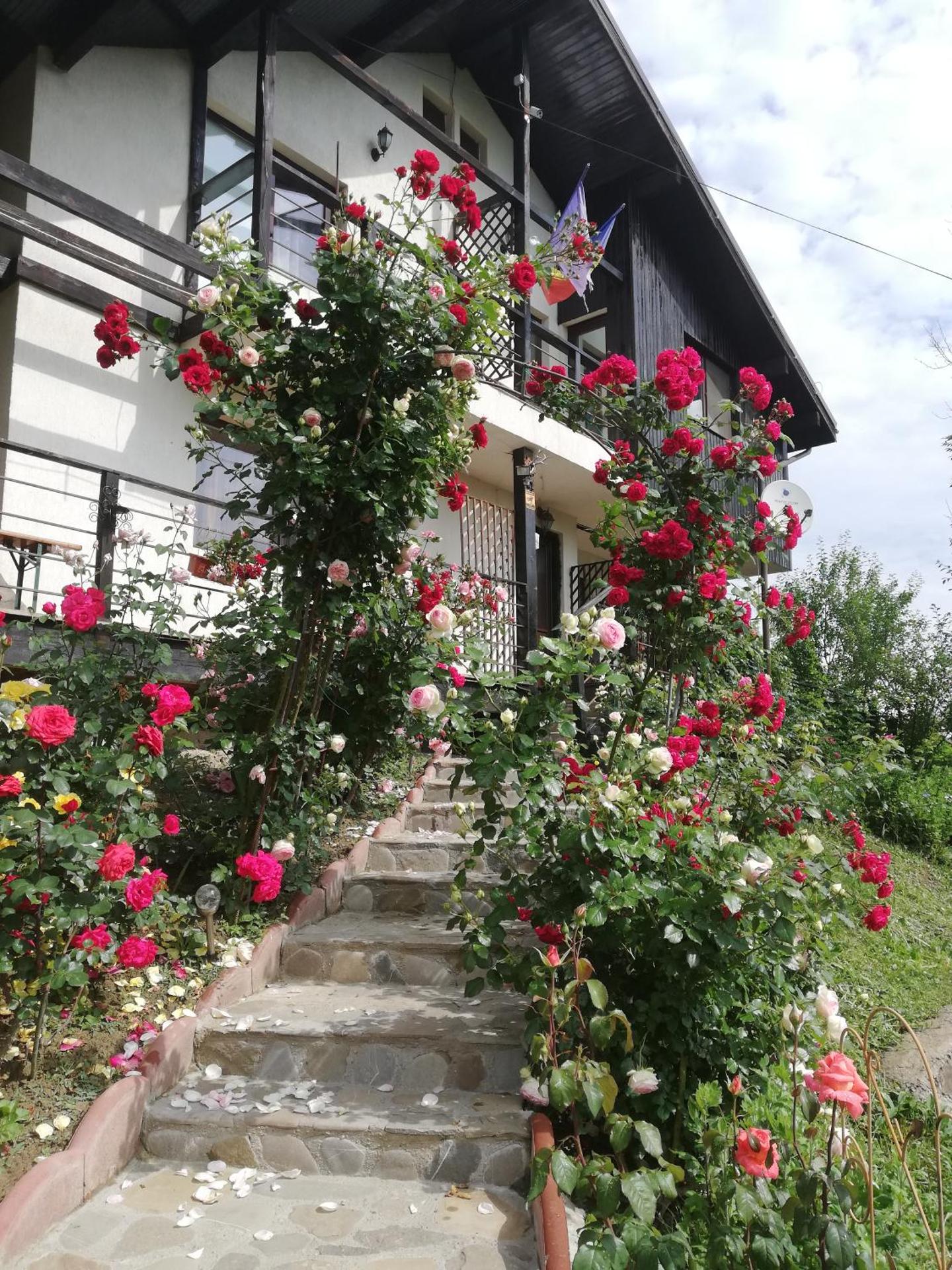 Casuta cu Trandafiri