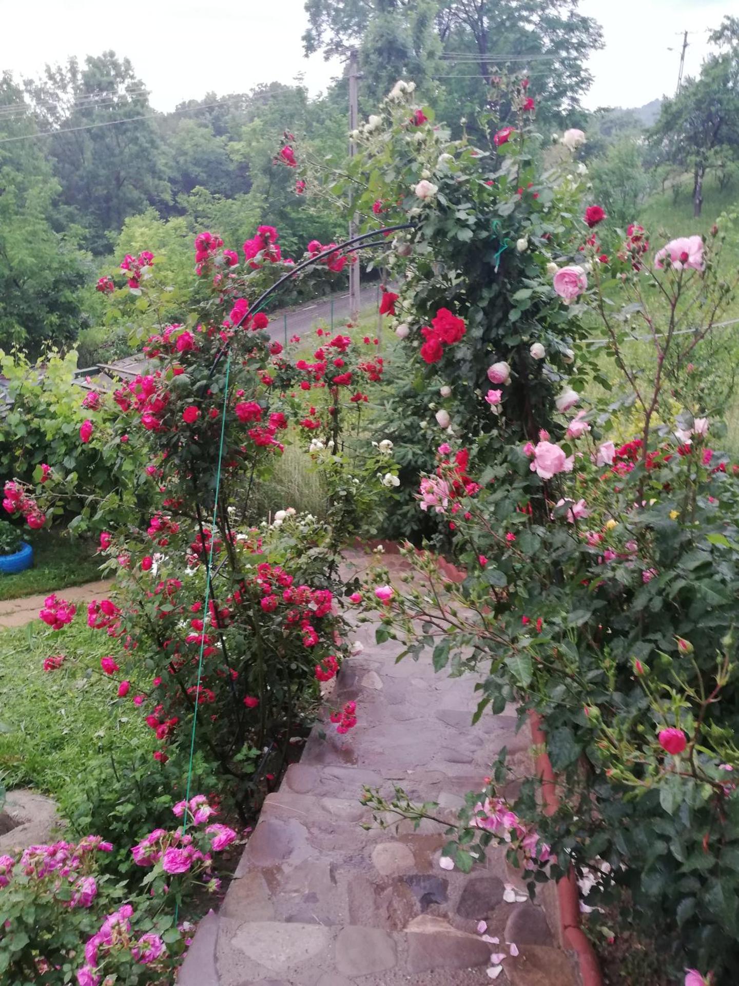 Casuta cu Trandafiri