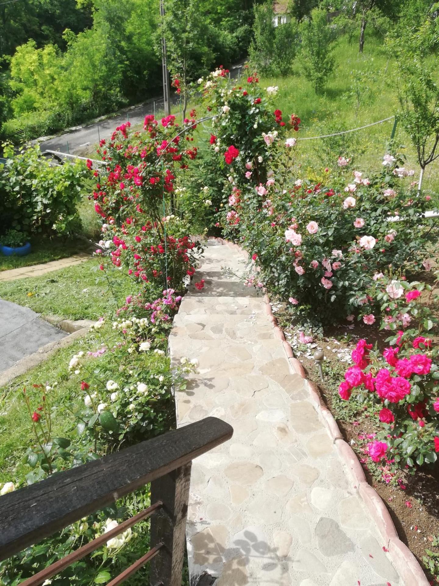 Casuta cu Trandafiri