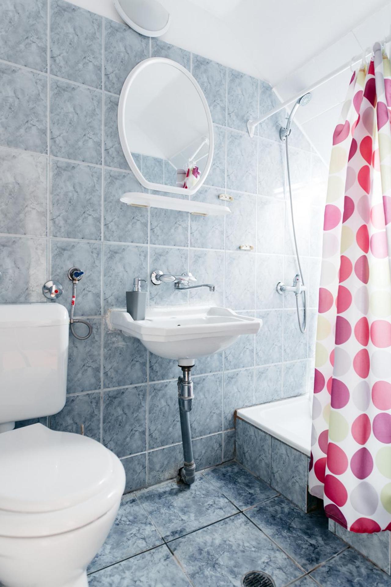 Pension Rose-Trandafirul