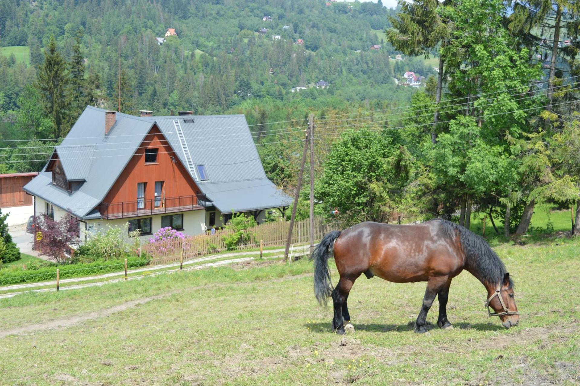 Agroturystyka Skałka