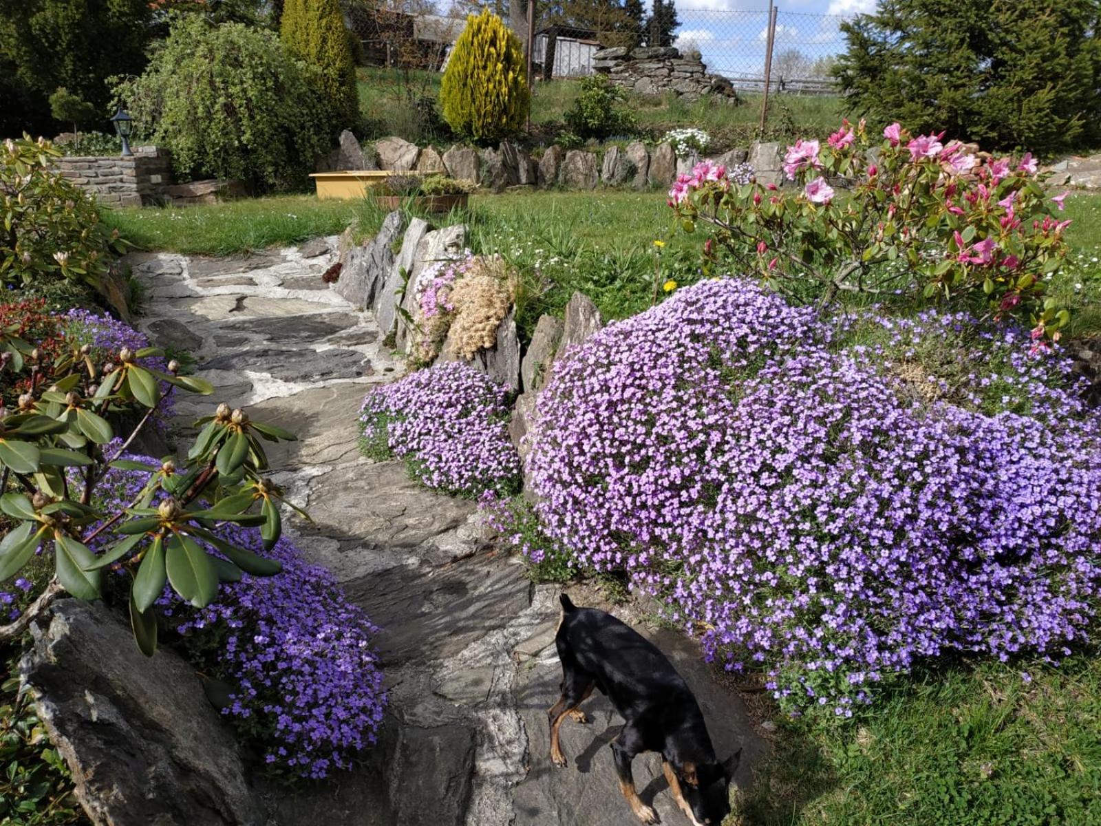 Ubytování na Šumavě