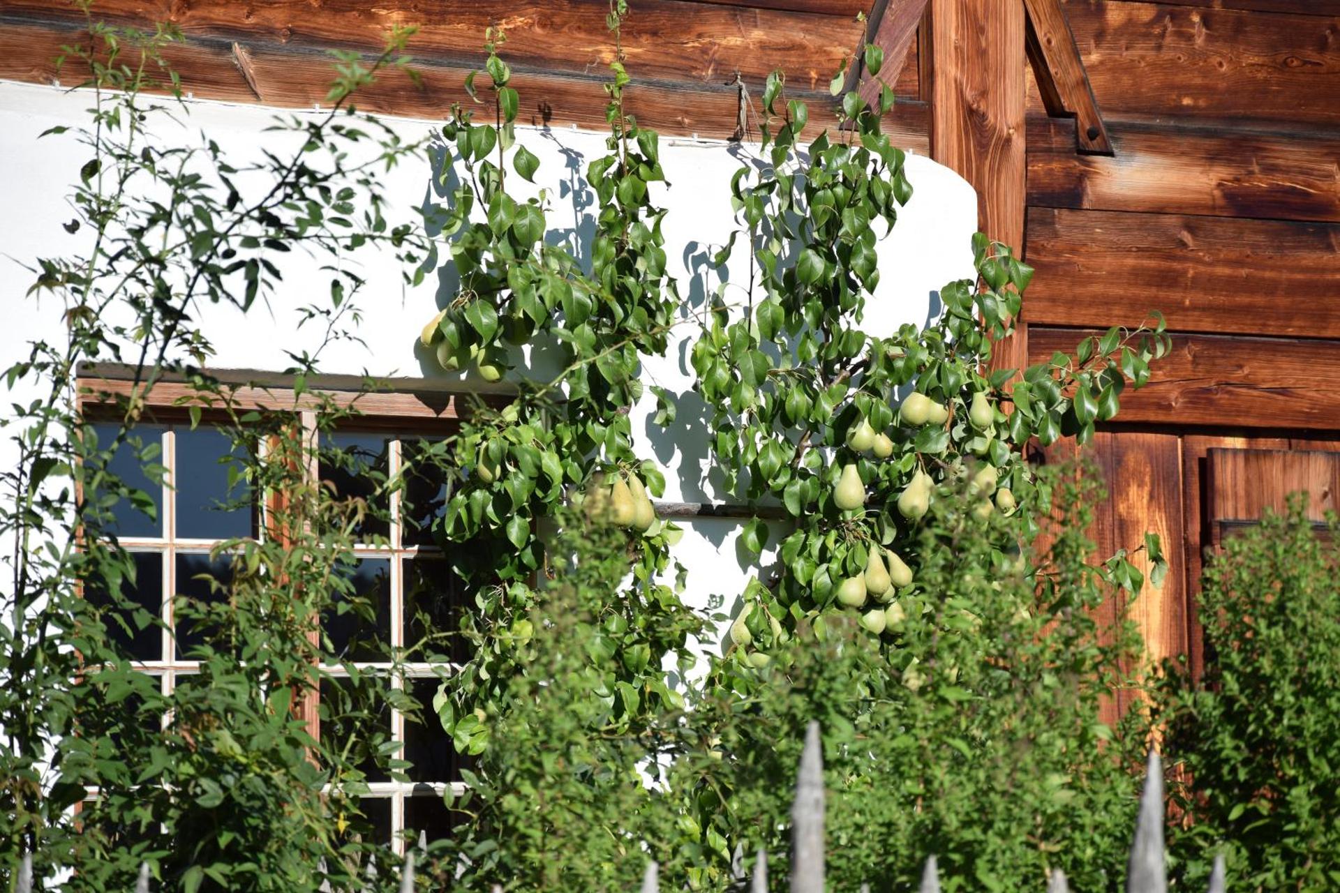 Ferienwohnung Schankwirtschaft Wohlfart