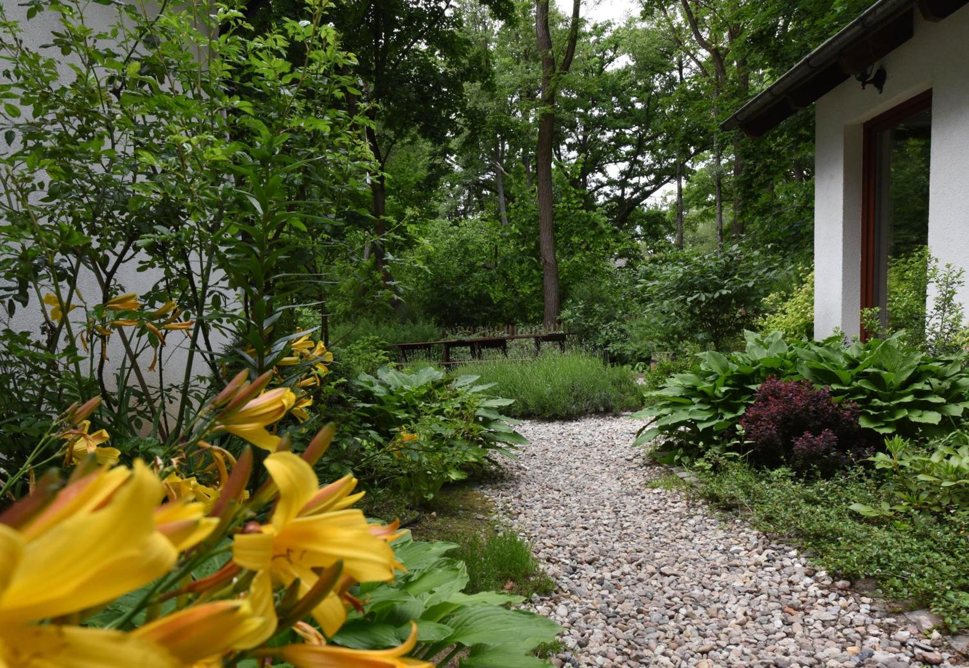 Superior Double or Twin Room with Garden View