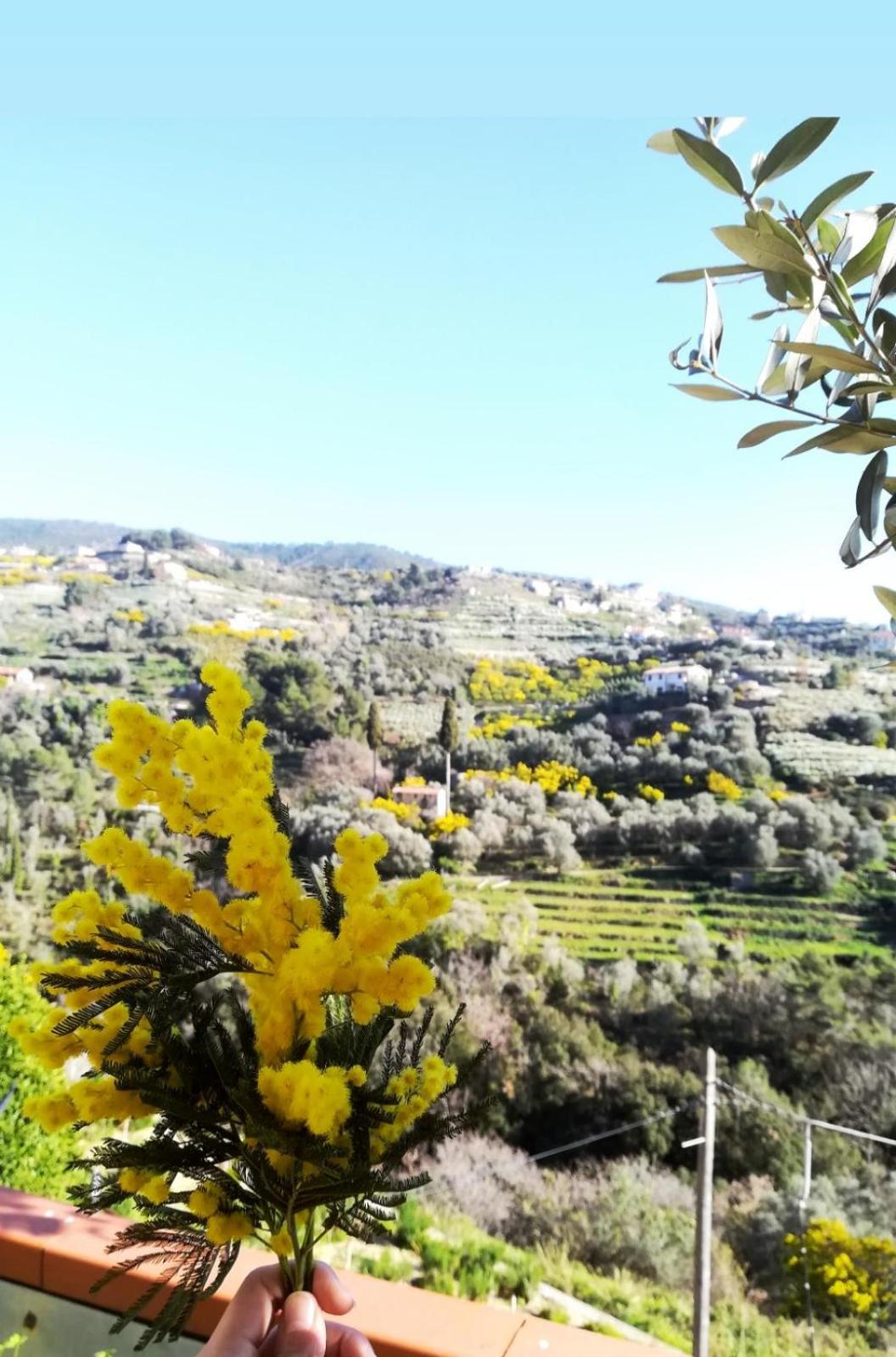 Agriturismo Terre di Mare Bordighera