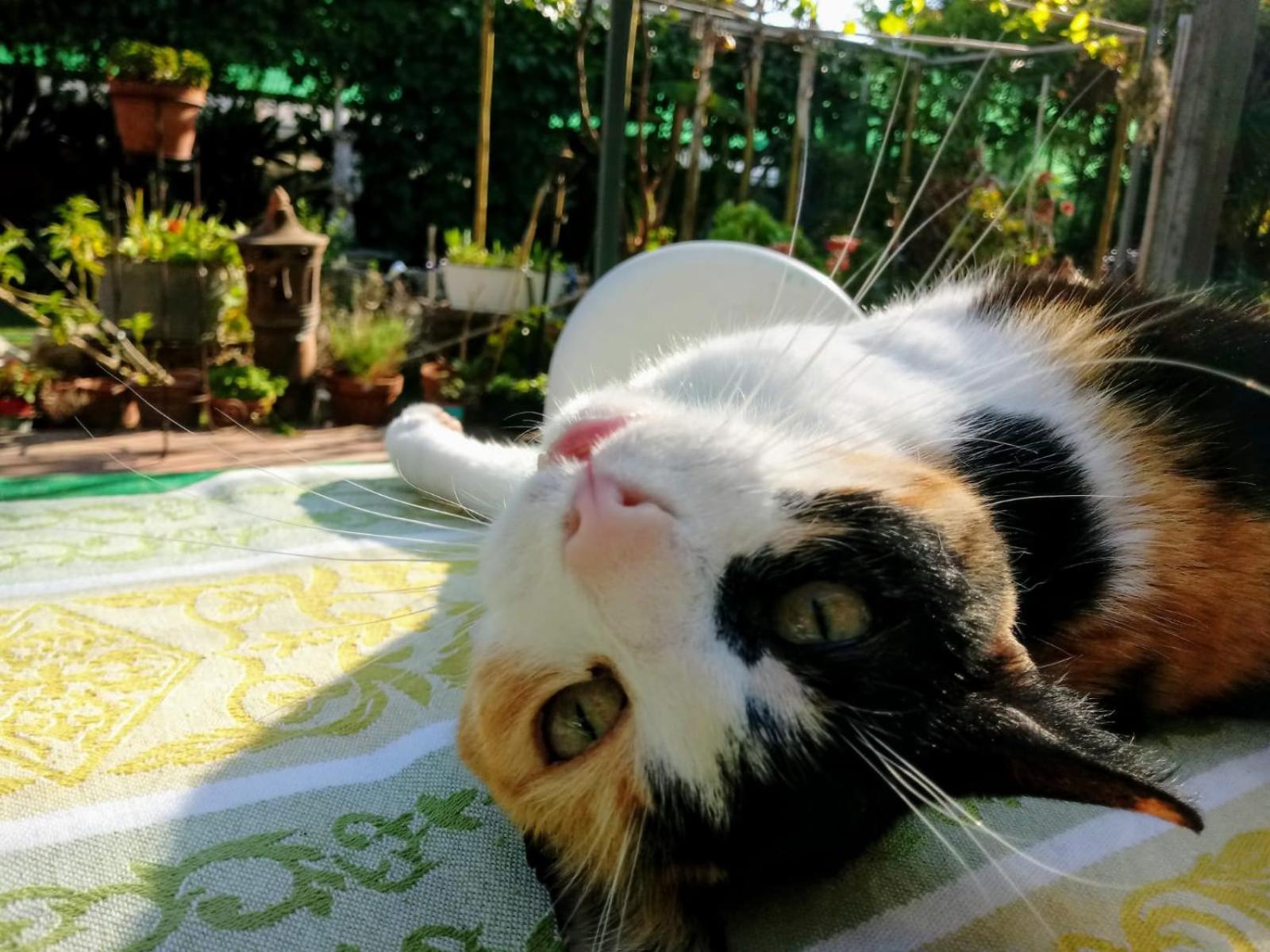 Agriturismo Terre di Mare Bordighera