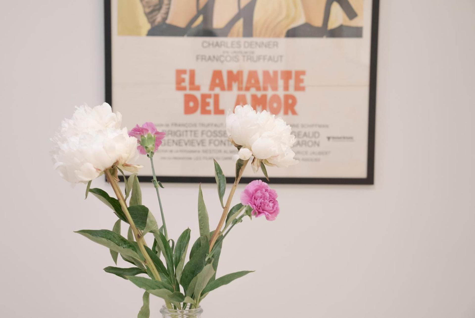 NUEVO Katu Kale Apartamentuak CENTRO HISTORICO