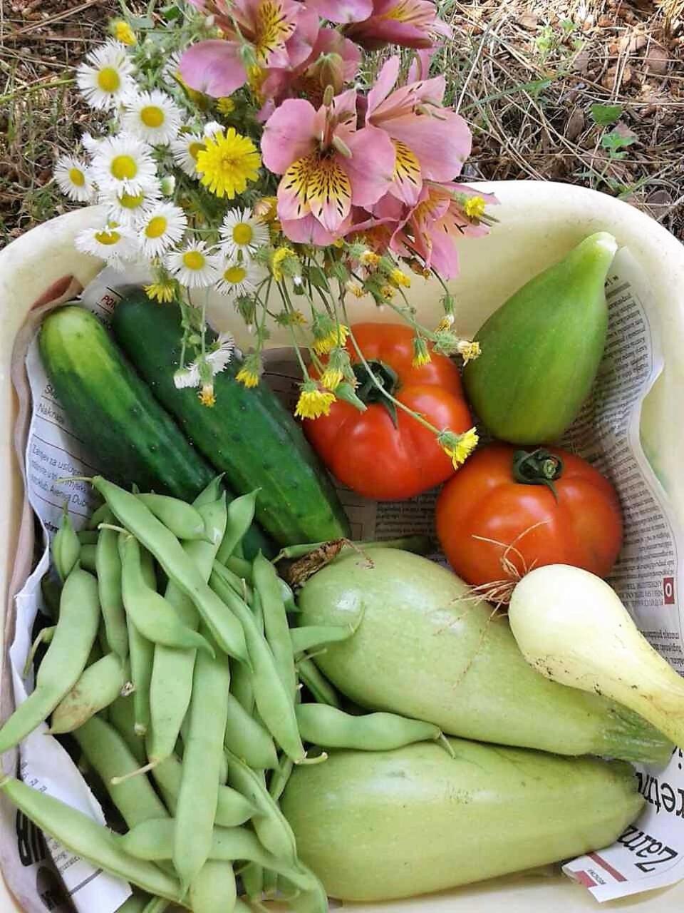 Apartments Villa Anton