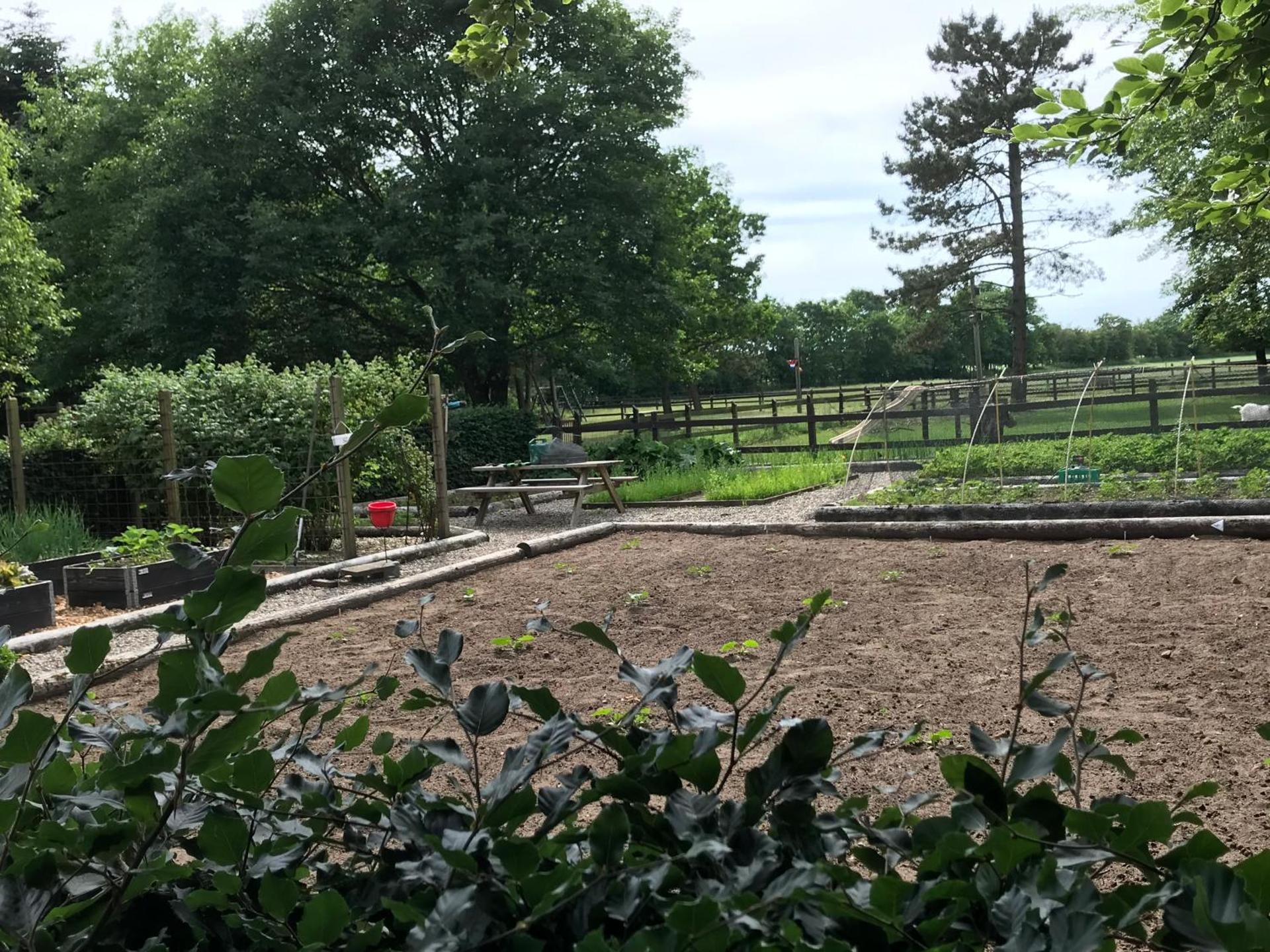 Familiehuis Boysen Appartementen