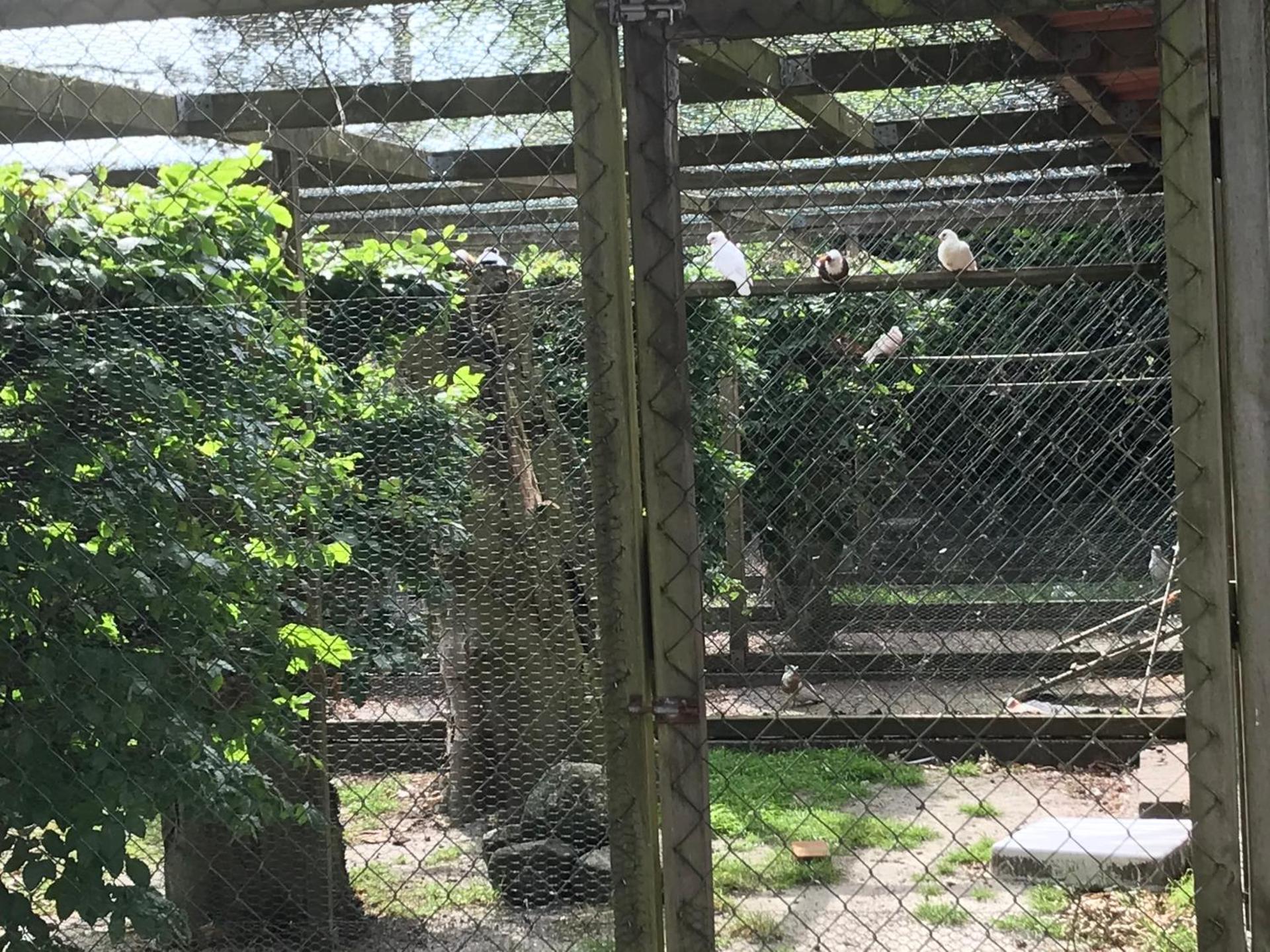 Familiehuis Boysen Appartementen