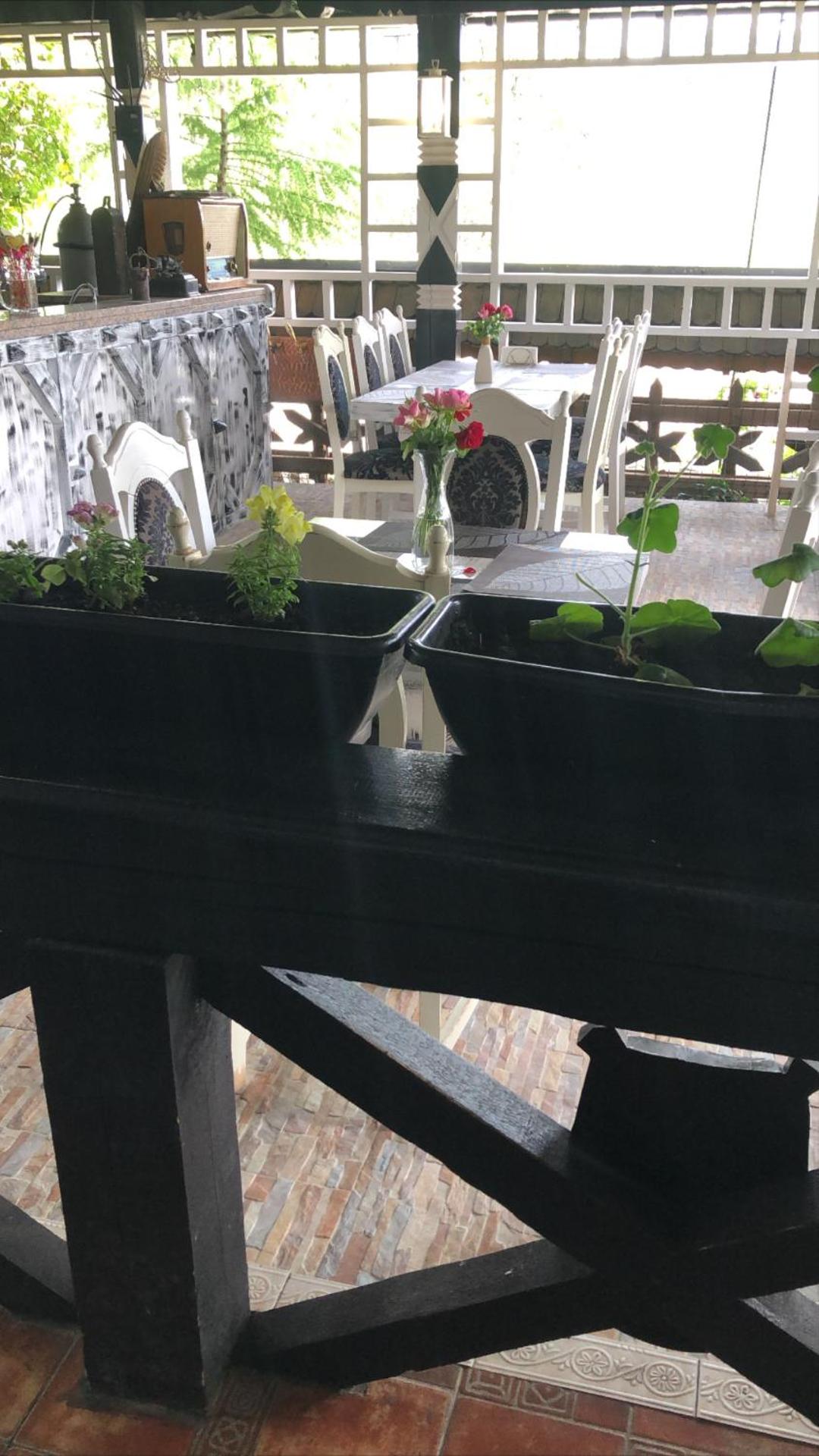 Complex Lions Bucovina