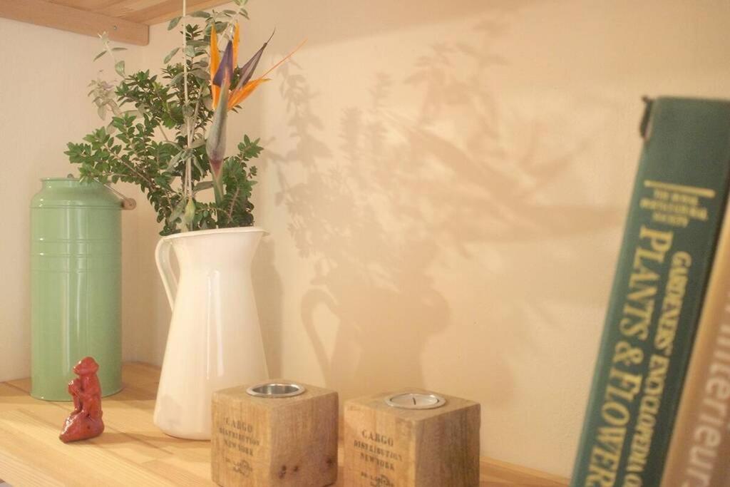 Charming Studio in the Old Town