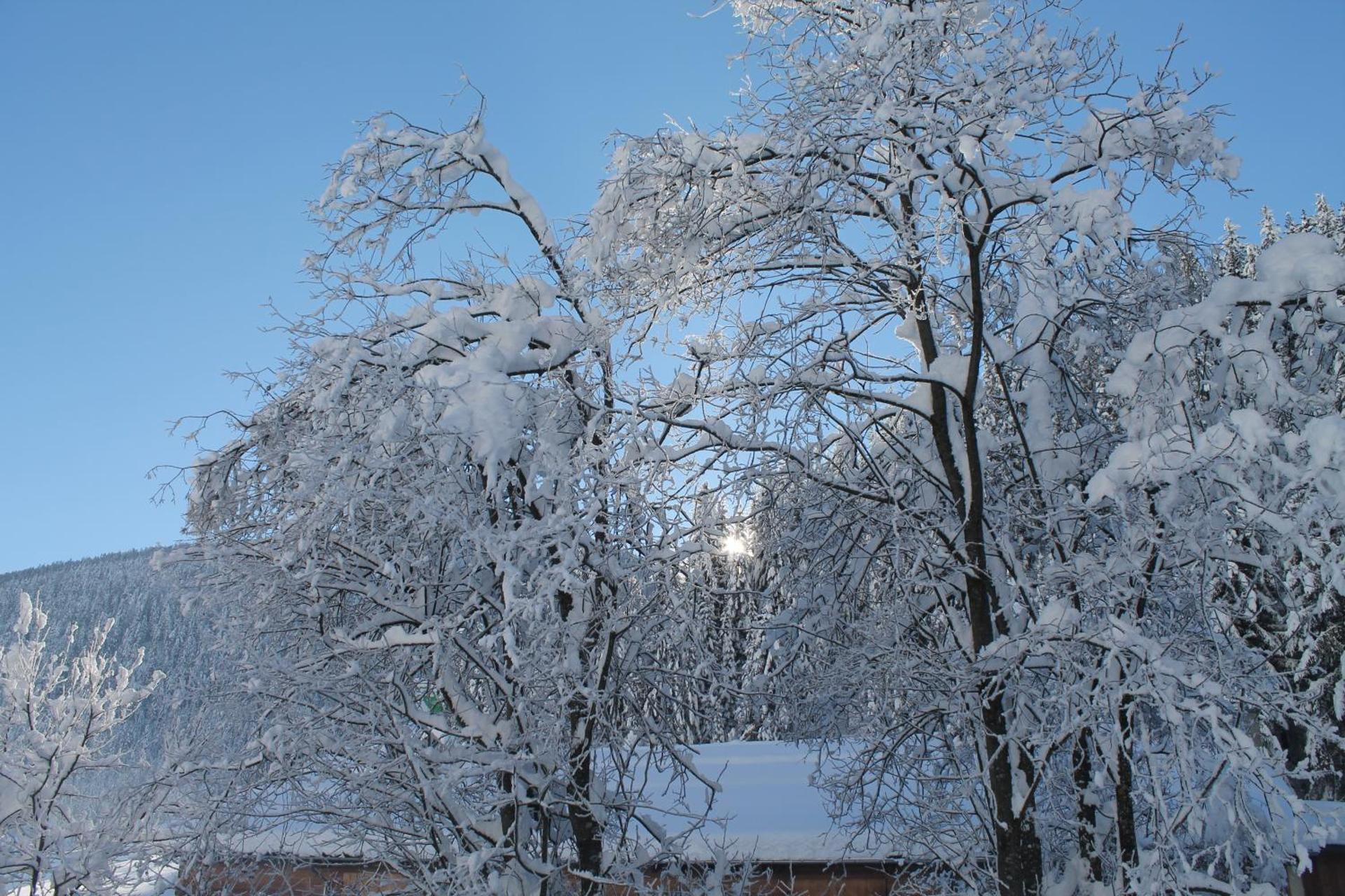 Ferienwohnungen Steidl