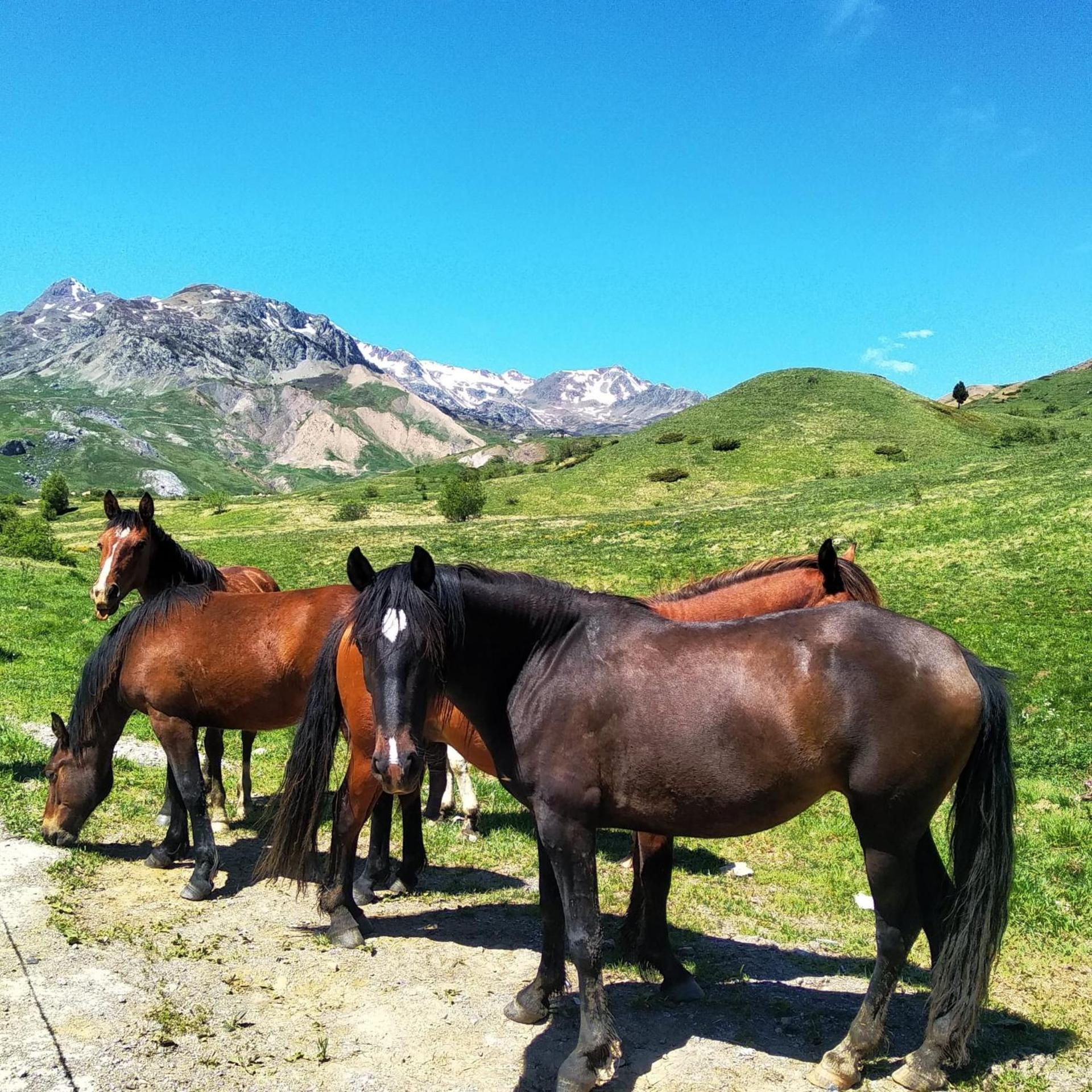 El Estacho de Panticosa