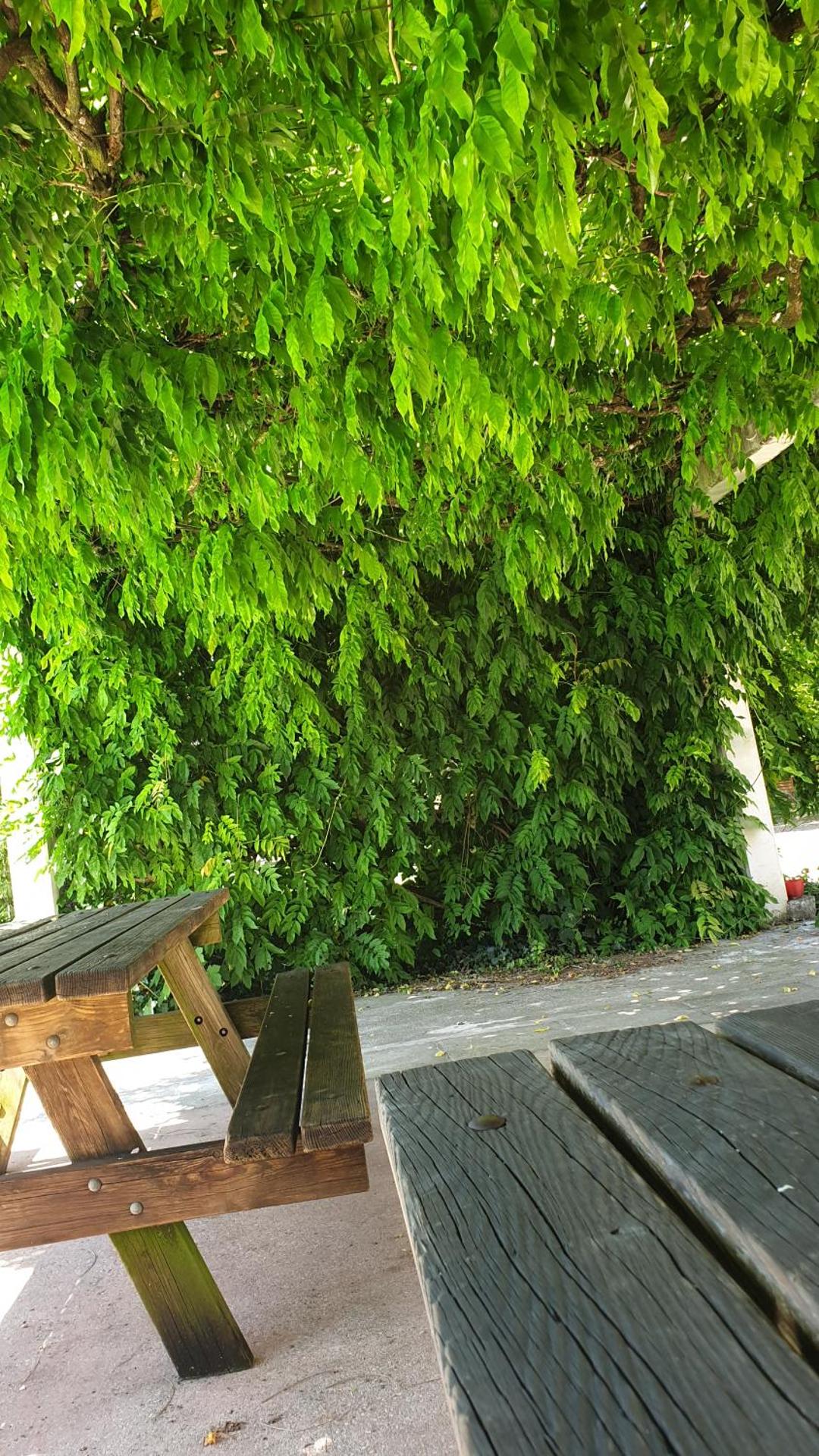 Appartement 2 chambres Lili