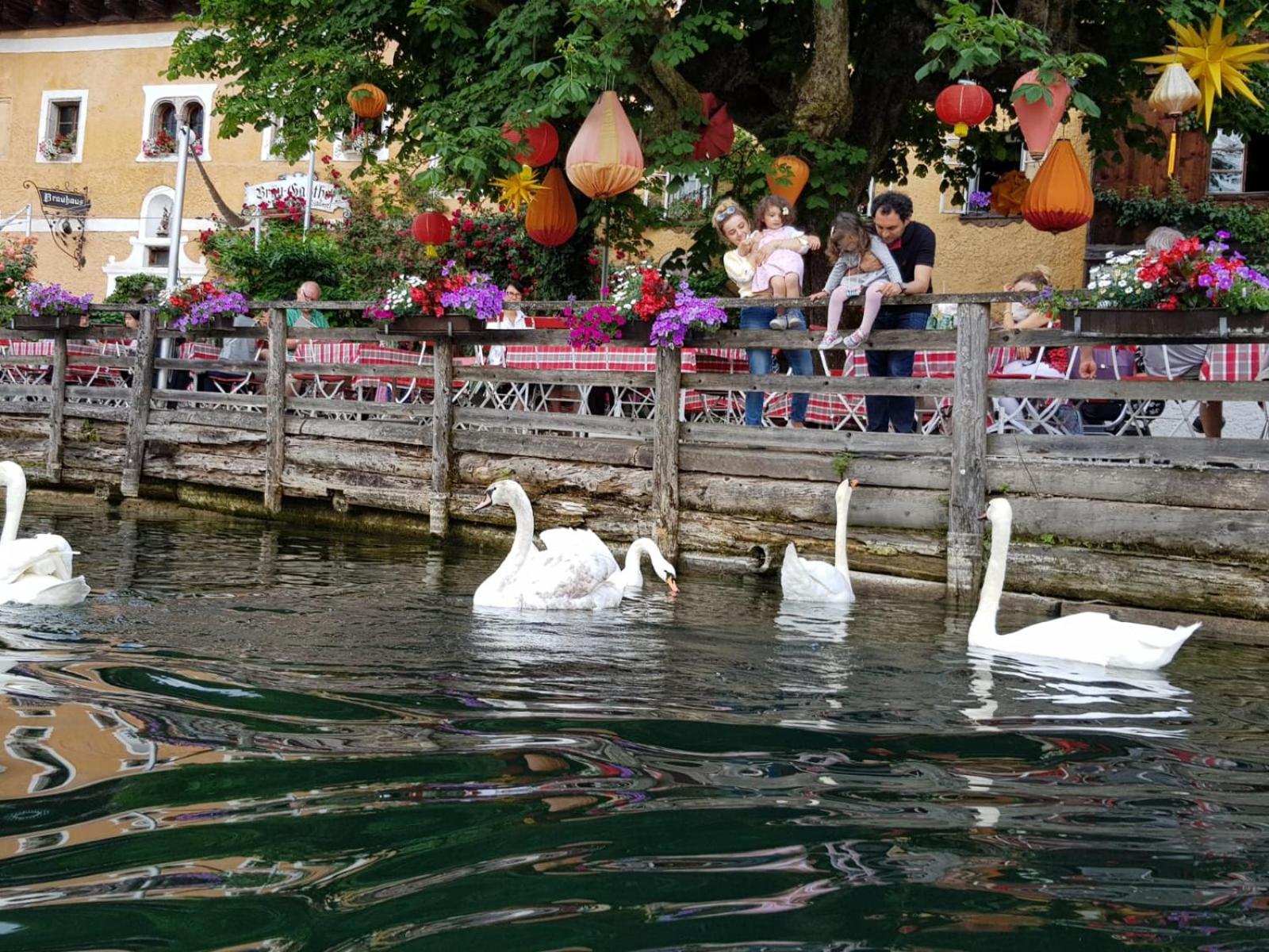Bräugasthof Hallstatt