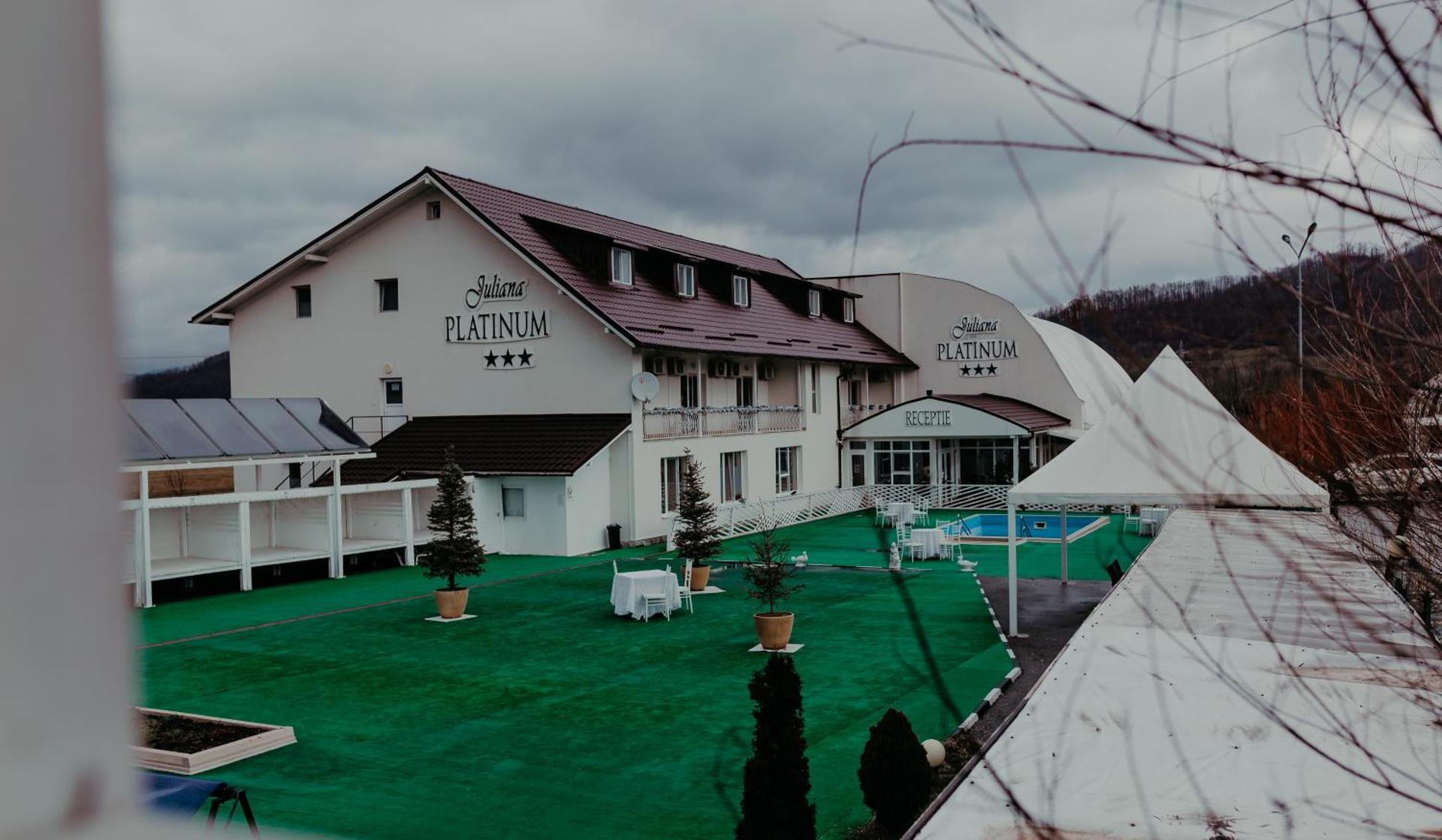 Juliana Platinum Brad