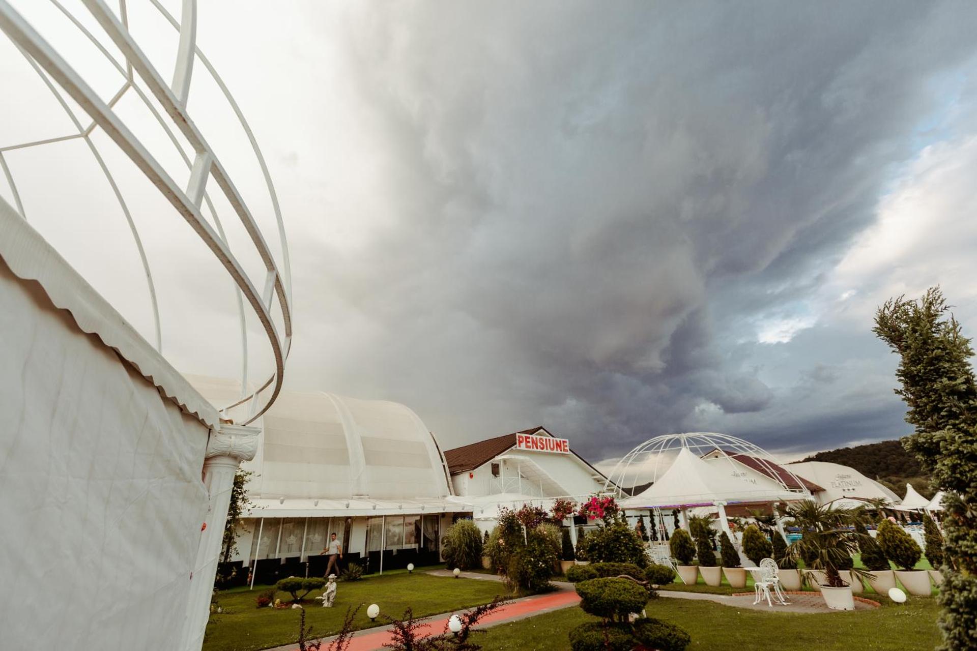 Juliana Platinum Brad