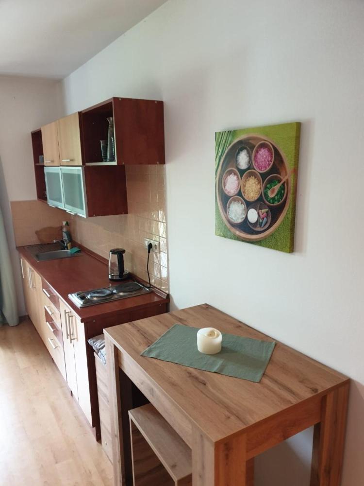 Apartmán Železná Ruda