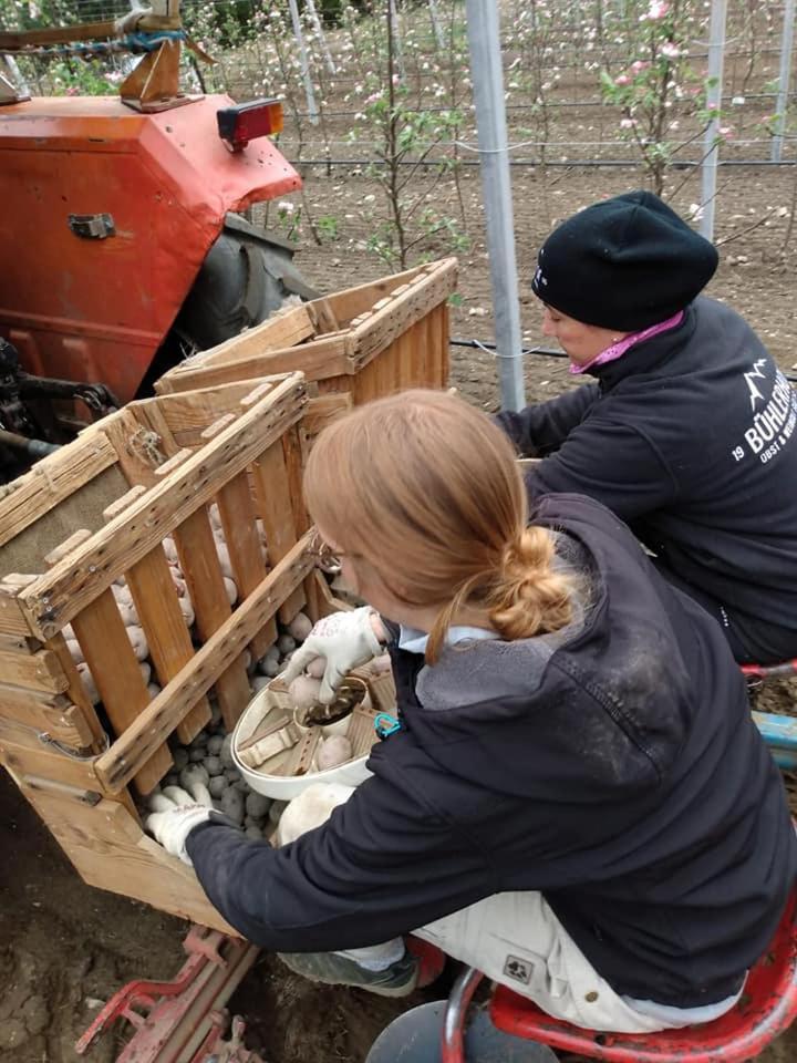 BUEHLERHOF Urlaub mit Kind & Hund, Obst-& Weingut, Brixen