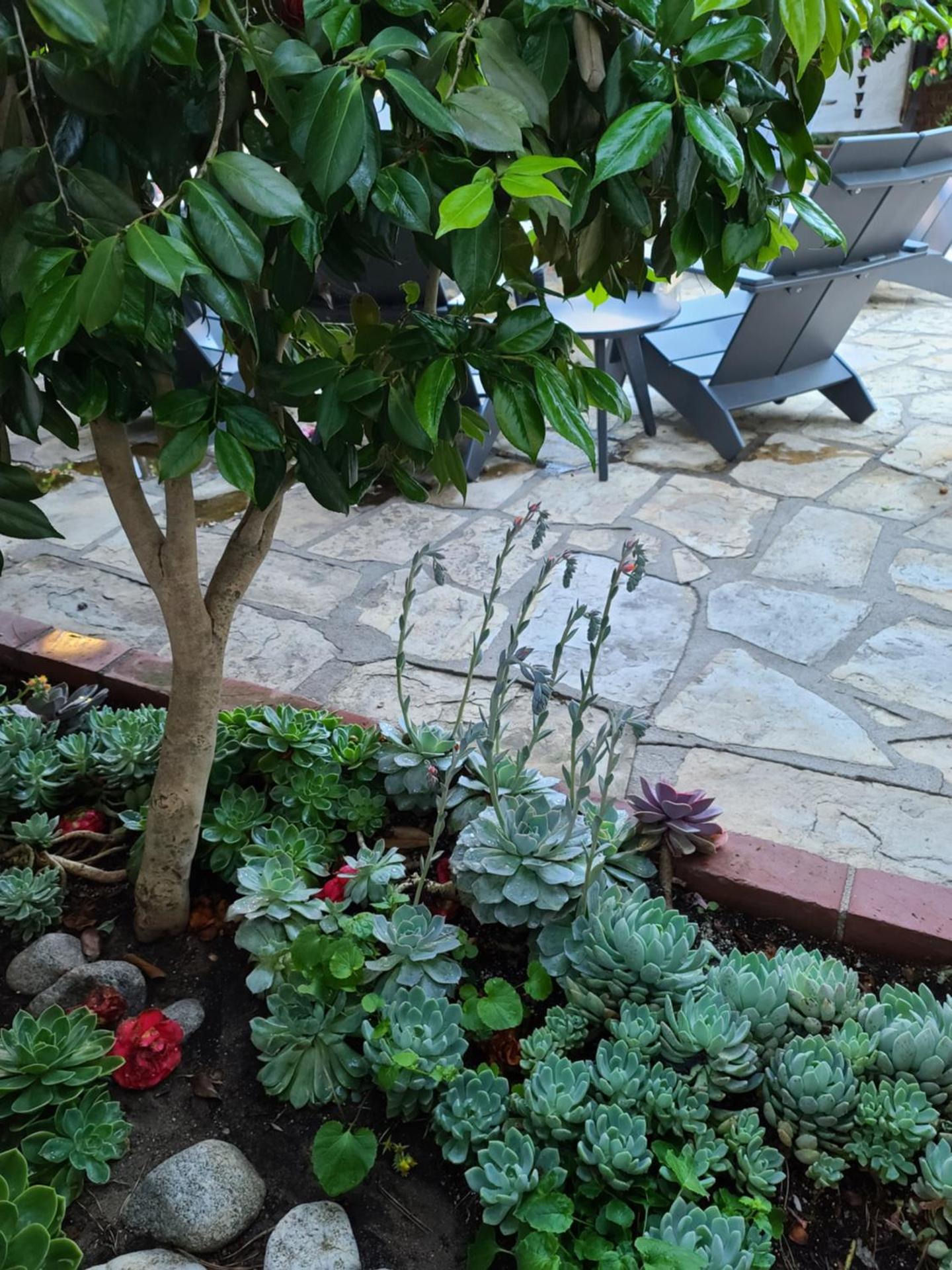 The Vagabond's House Boutique Inn