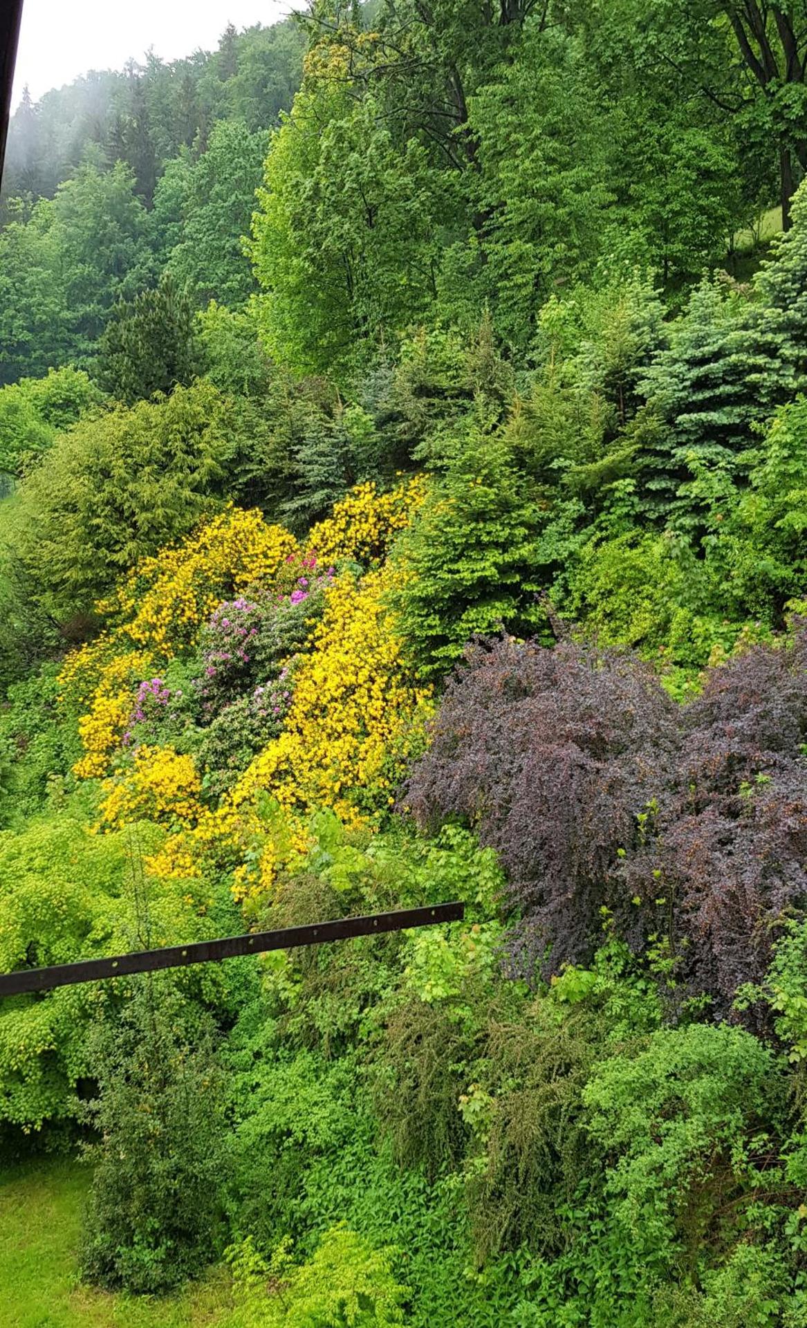 Apartament Międzygórze