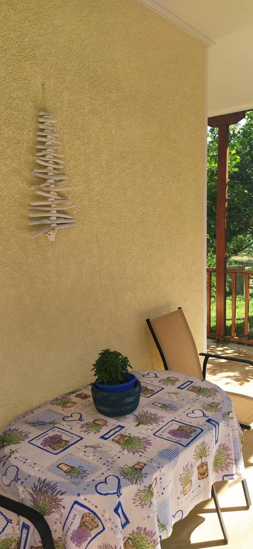 Elegant house by the sea with pool