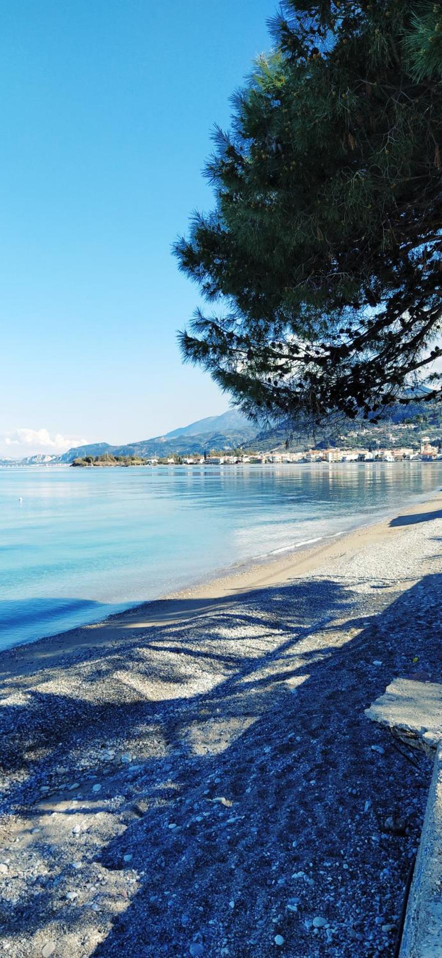 Elegant house by the sea with pool