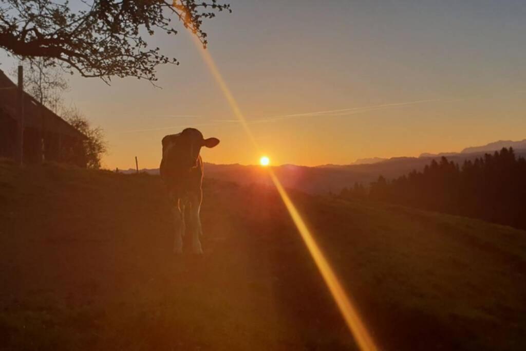 Eggelried, wo die Natur zu Hause ist..