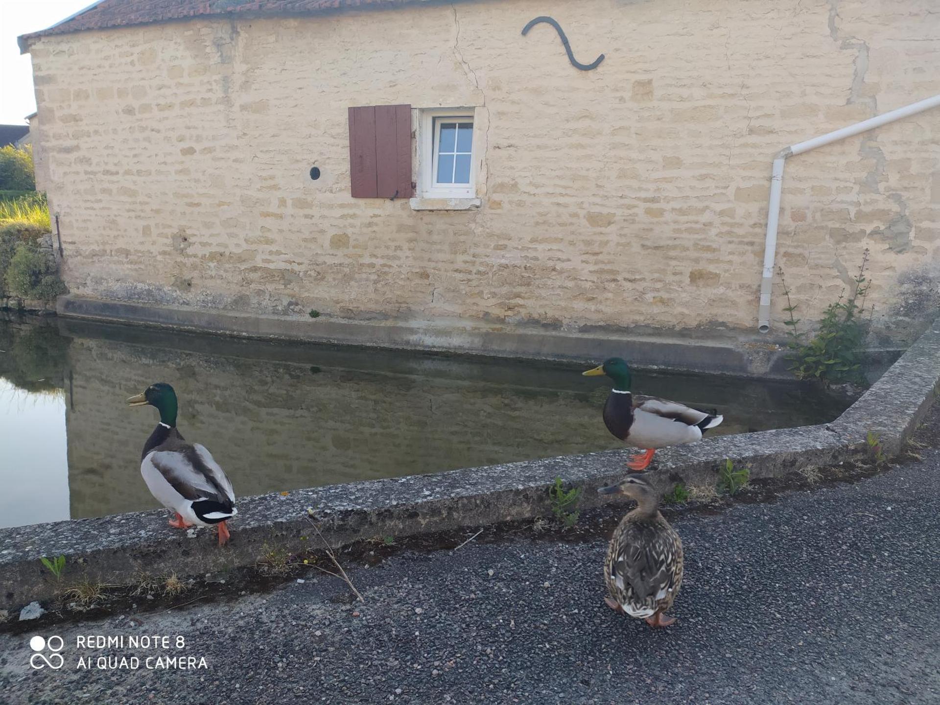 Chambre tranquille et confortable pour étape
