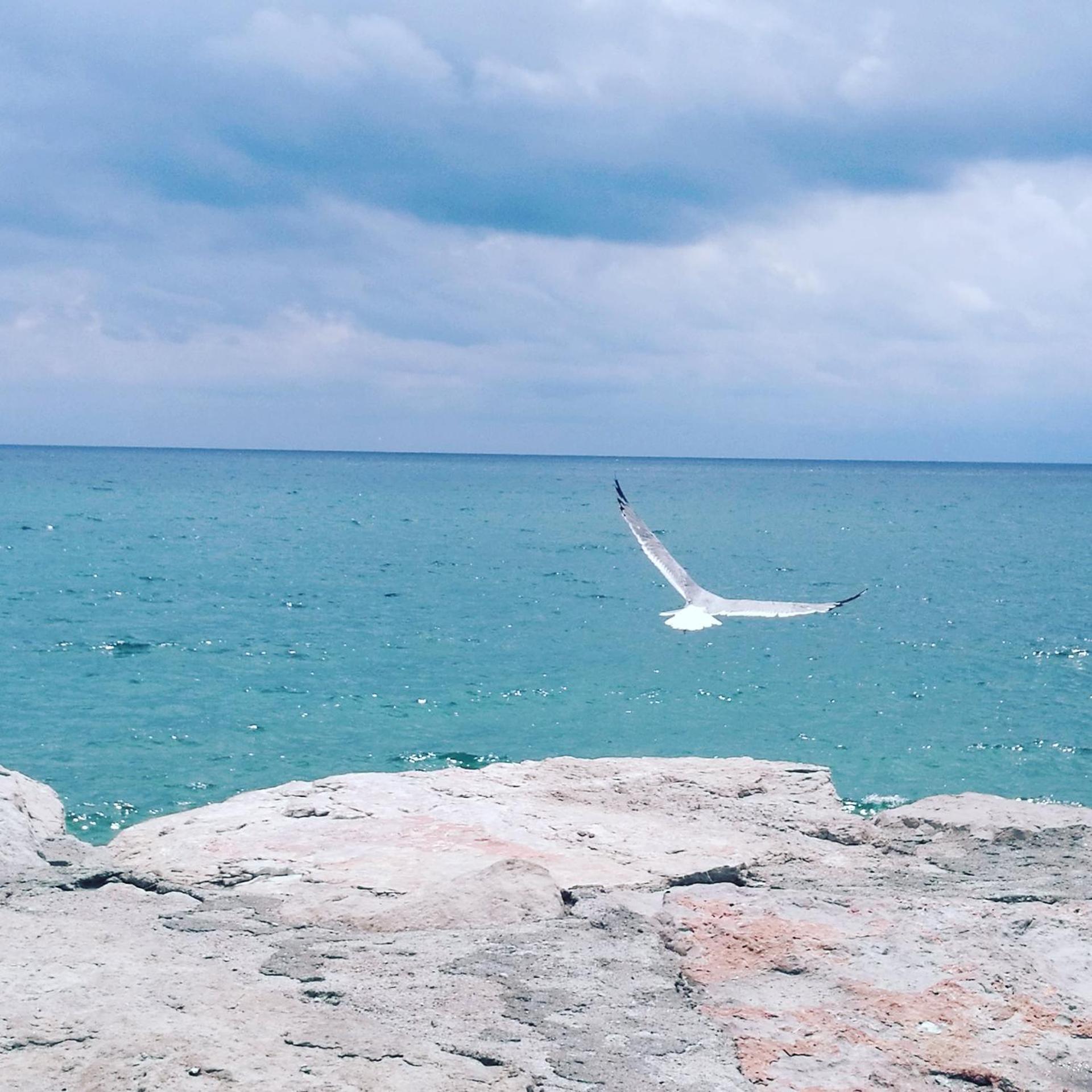 B&B Dimora di Traiano